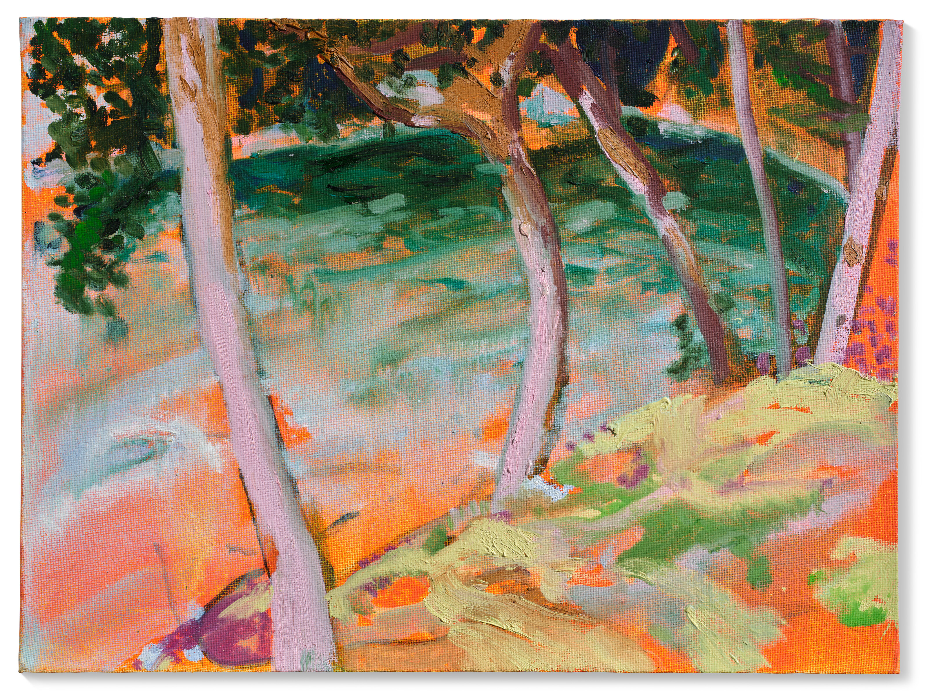 Catalog image of The Sea Before the Storm