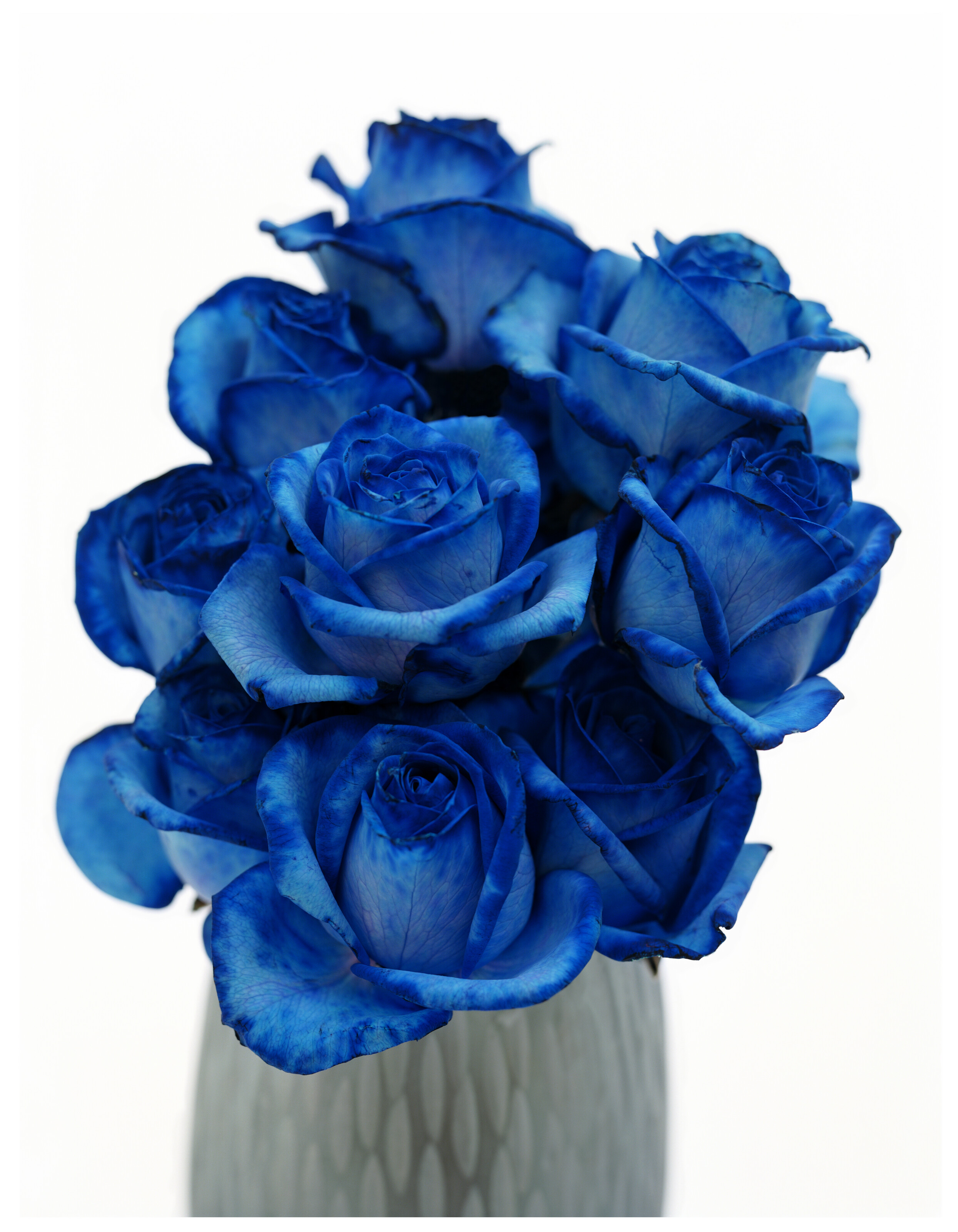 David Bailey, Blue flower, 2008, offered in Post-War and Contemporary Art Online until 15 October 2024 at Christie's Online