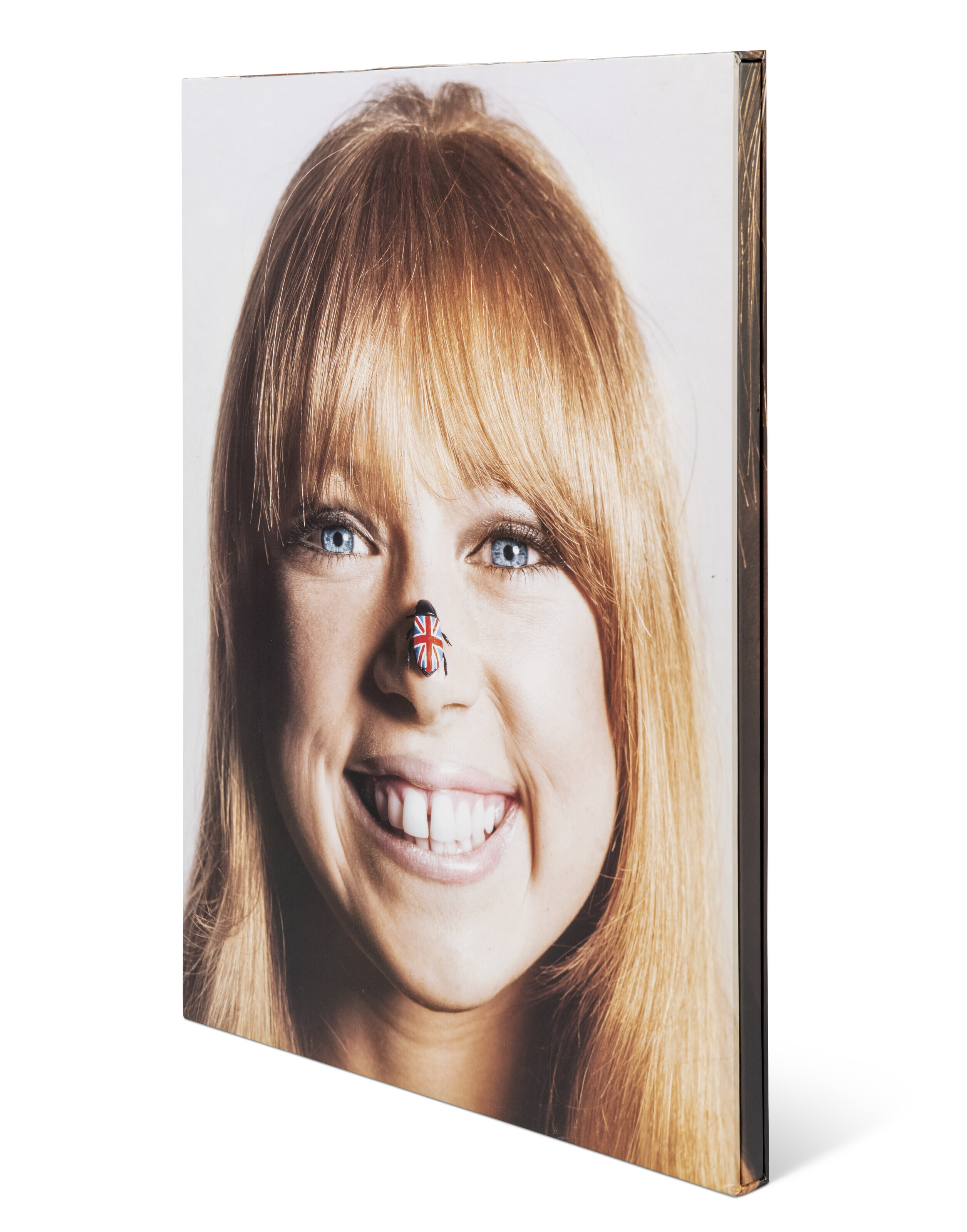 Pattie Boyd, The Big Book of Birds of Britain by John d