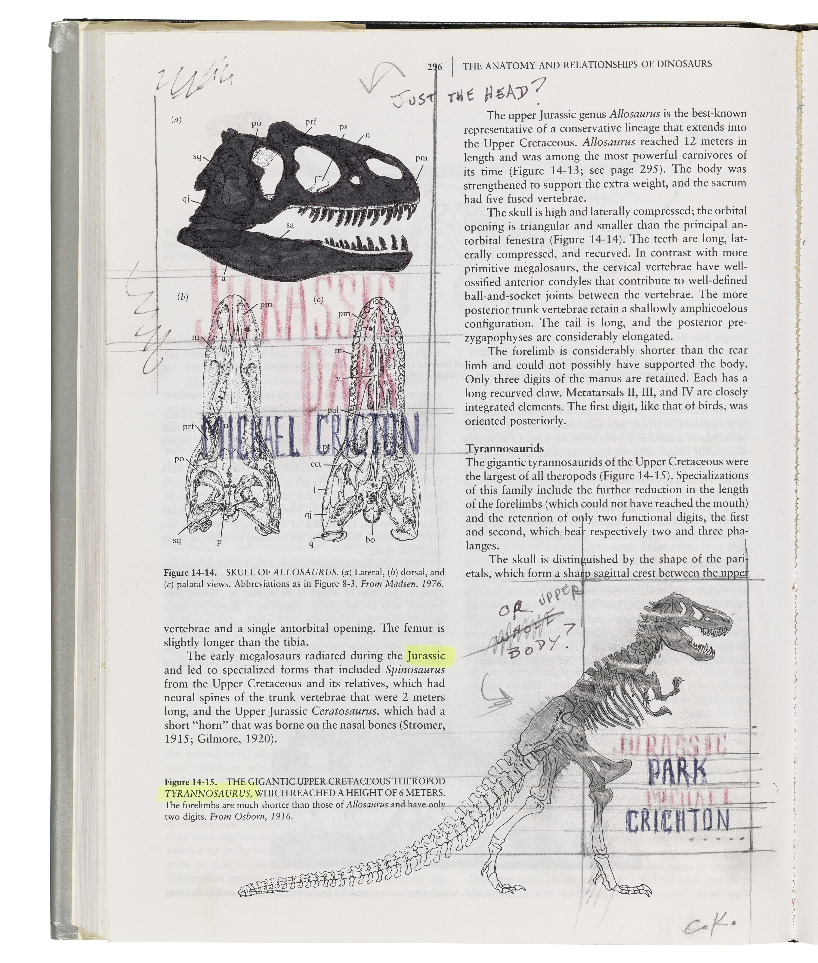 Jurassic Park: original dust-jacket artwork by Chip Kidd, 1990, offered in Science Fiction and Fantasy, 28 November to 12 December 2024 at Christie's Online