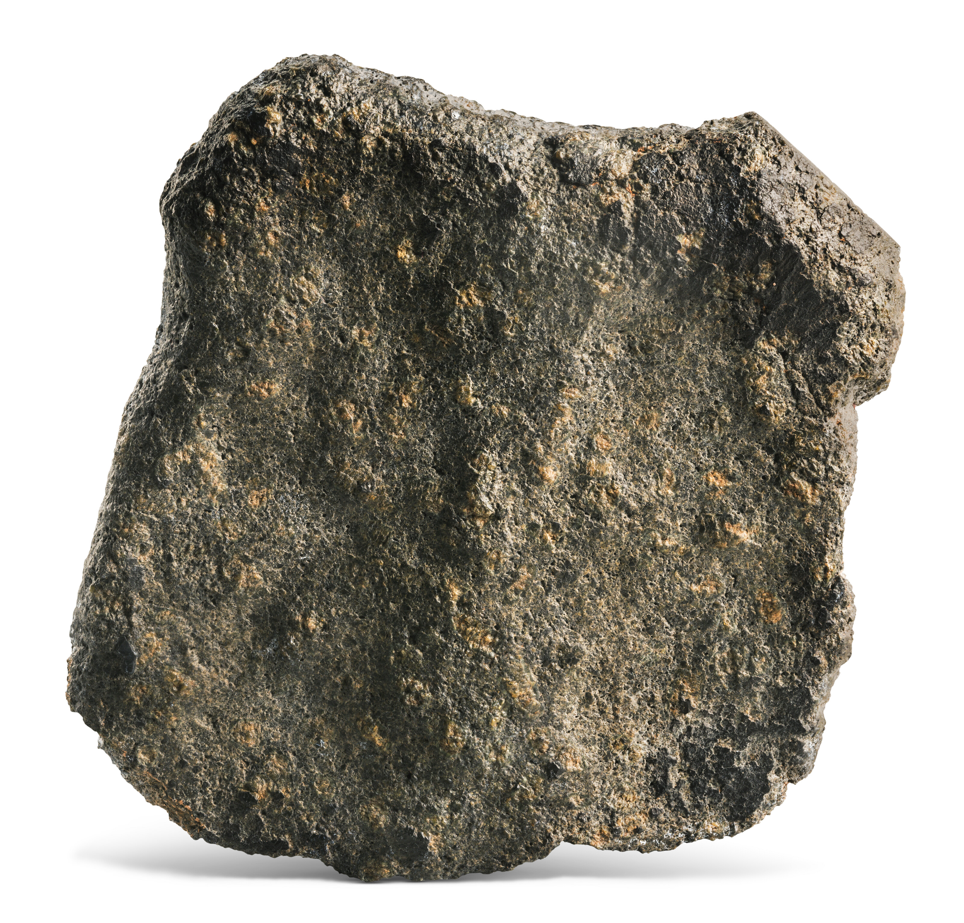 A spectacular end piece of a rock from Mars, Plateau du Tademait 008. Mars Rock, SNC, olivine-phyric shergottite, Sahara Desert, Adrar, Algeria, offered in Science Fiction and Fantasy, 28 November to 12 December 2024 at Christie's Online