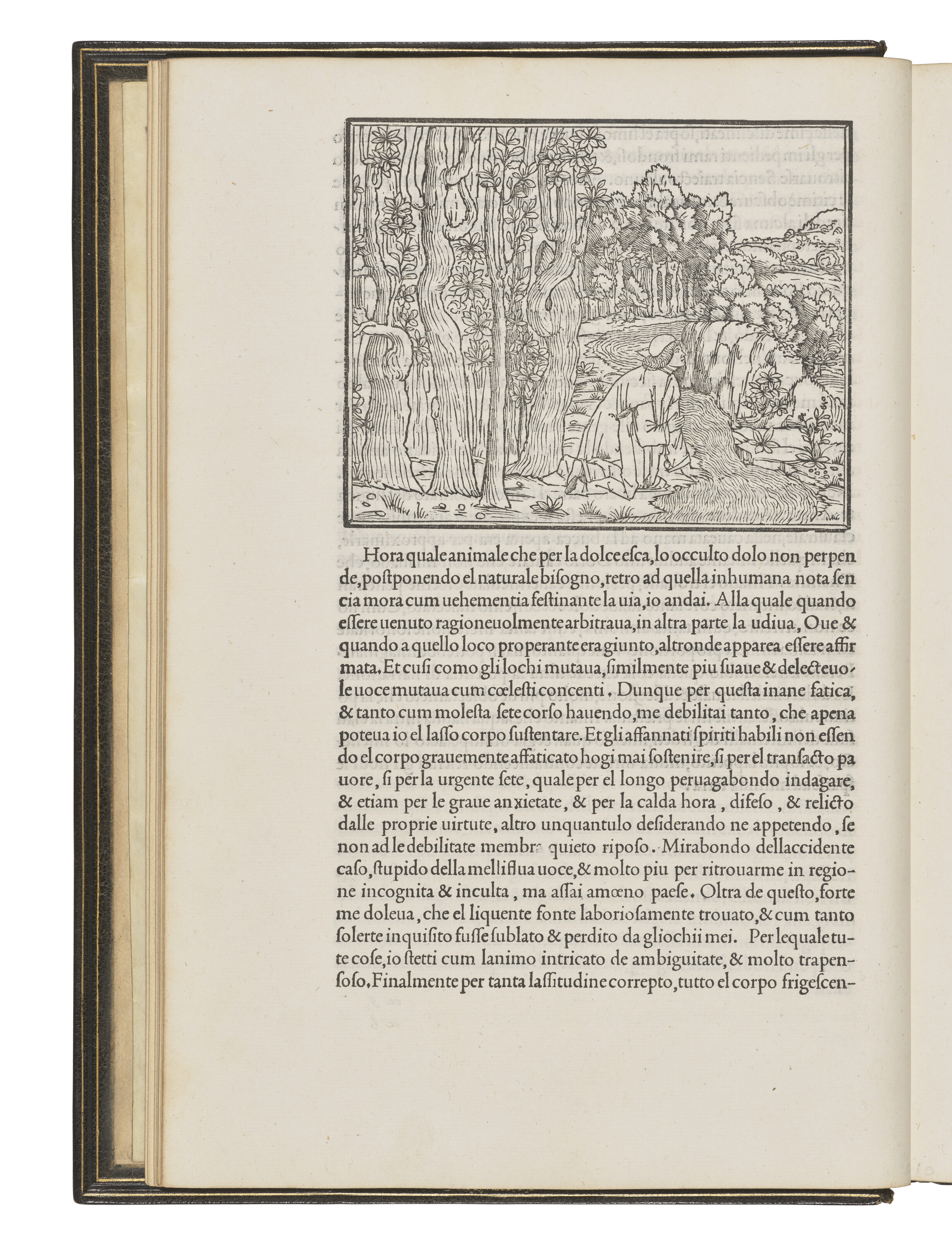 Hypnerotomachia Poliphili, Francesco Colonna | Christie's