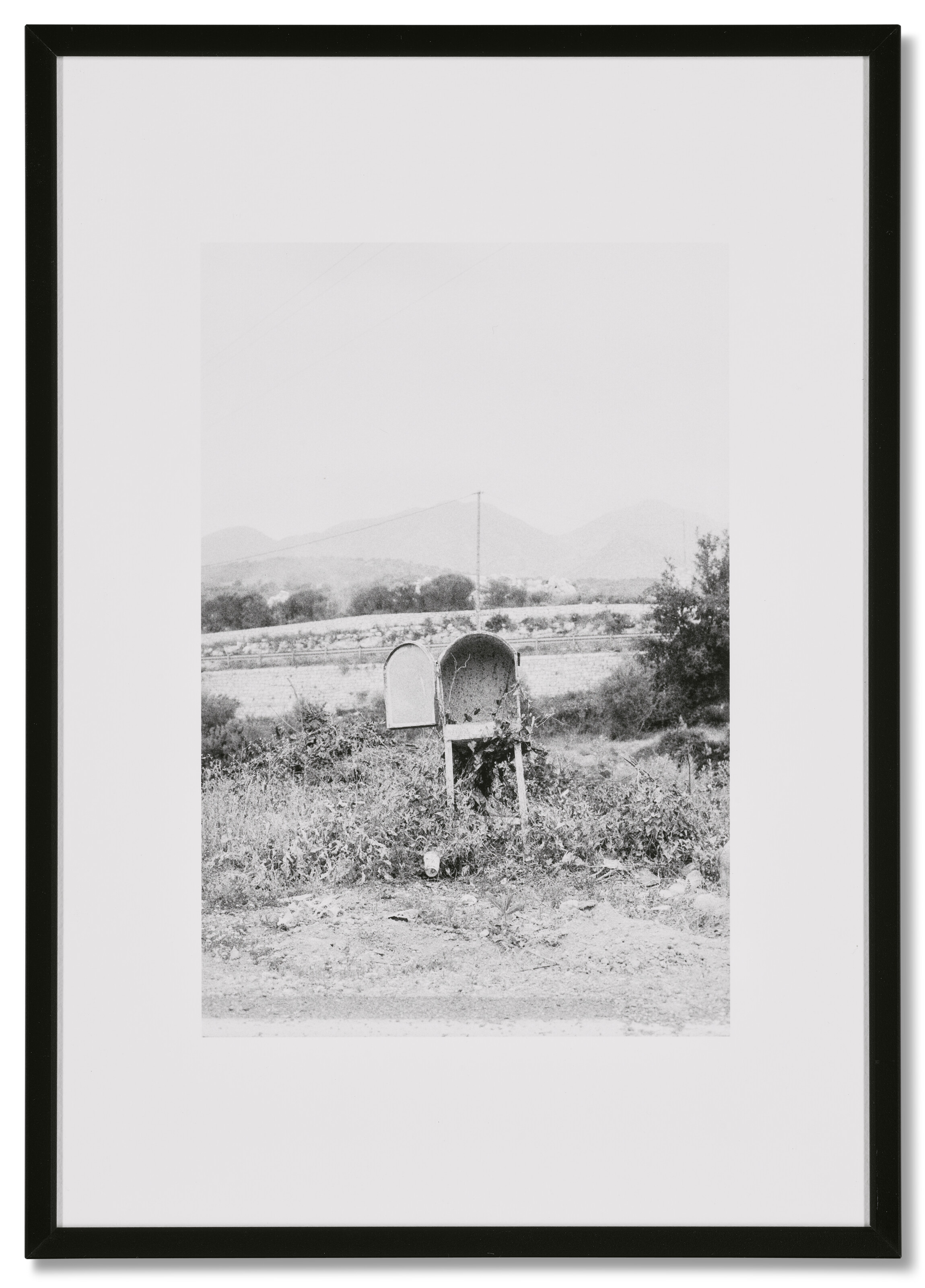 Roadside, 2024 - Thumb 6