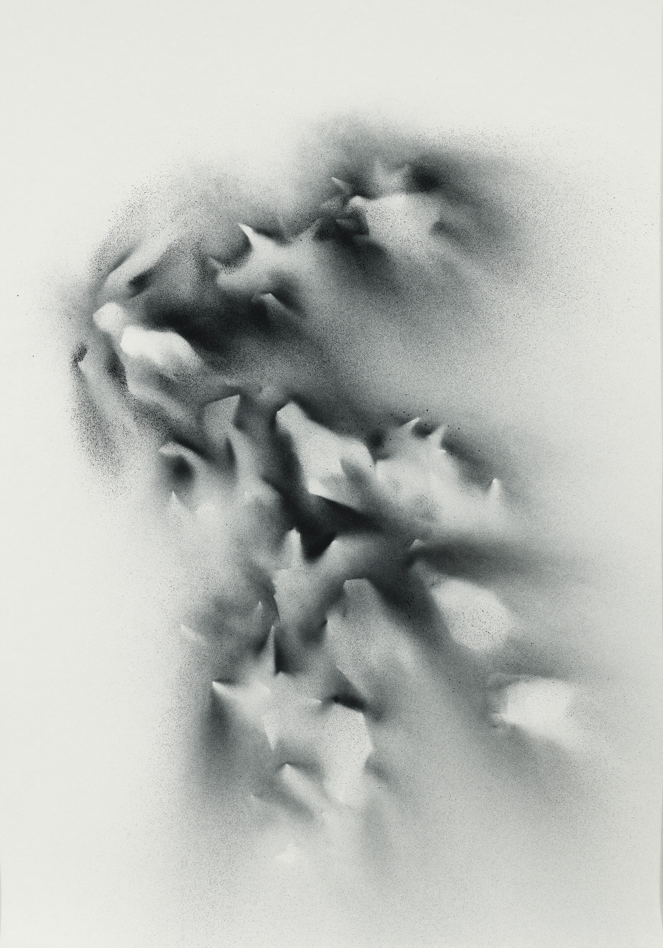 Catalog image of Non-Folding - Animalesque, Tipping #46