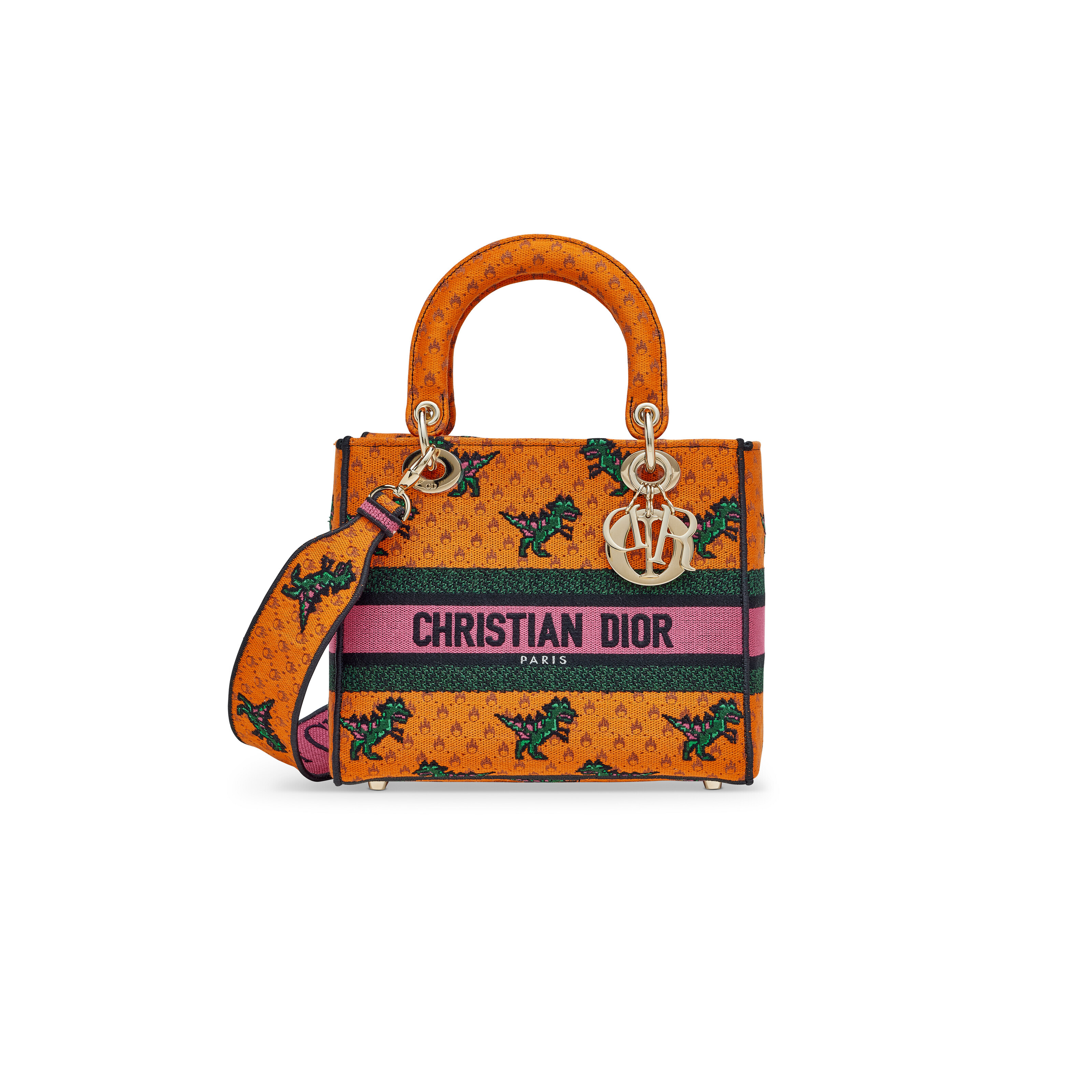 A LIMITED EDITION ORANGE EMBROIDERED CANVAS MEDIUM DINO LADY DIOR