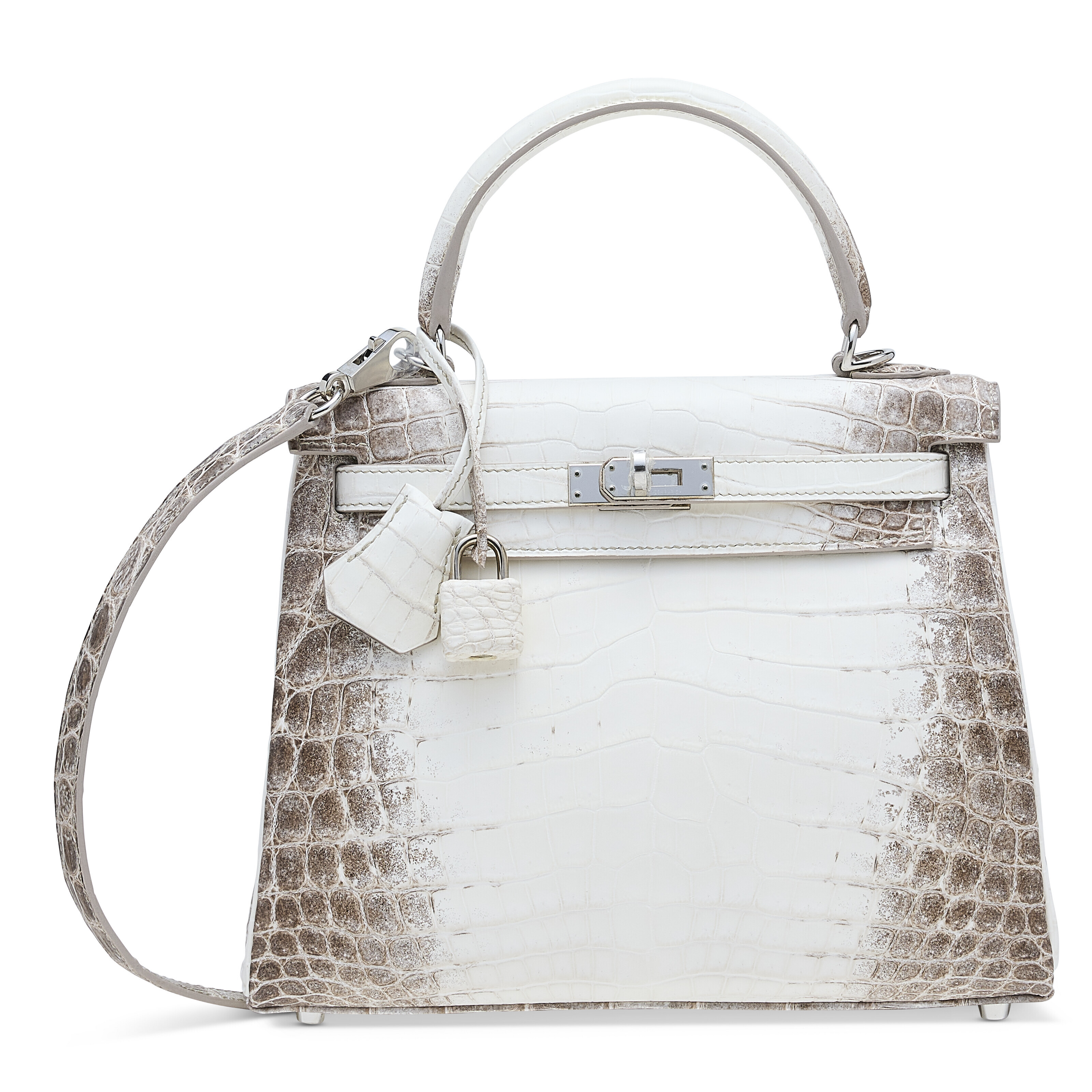 Hermes niloticus best sale