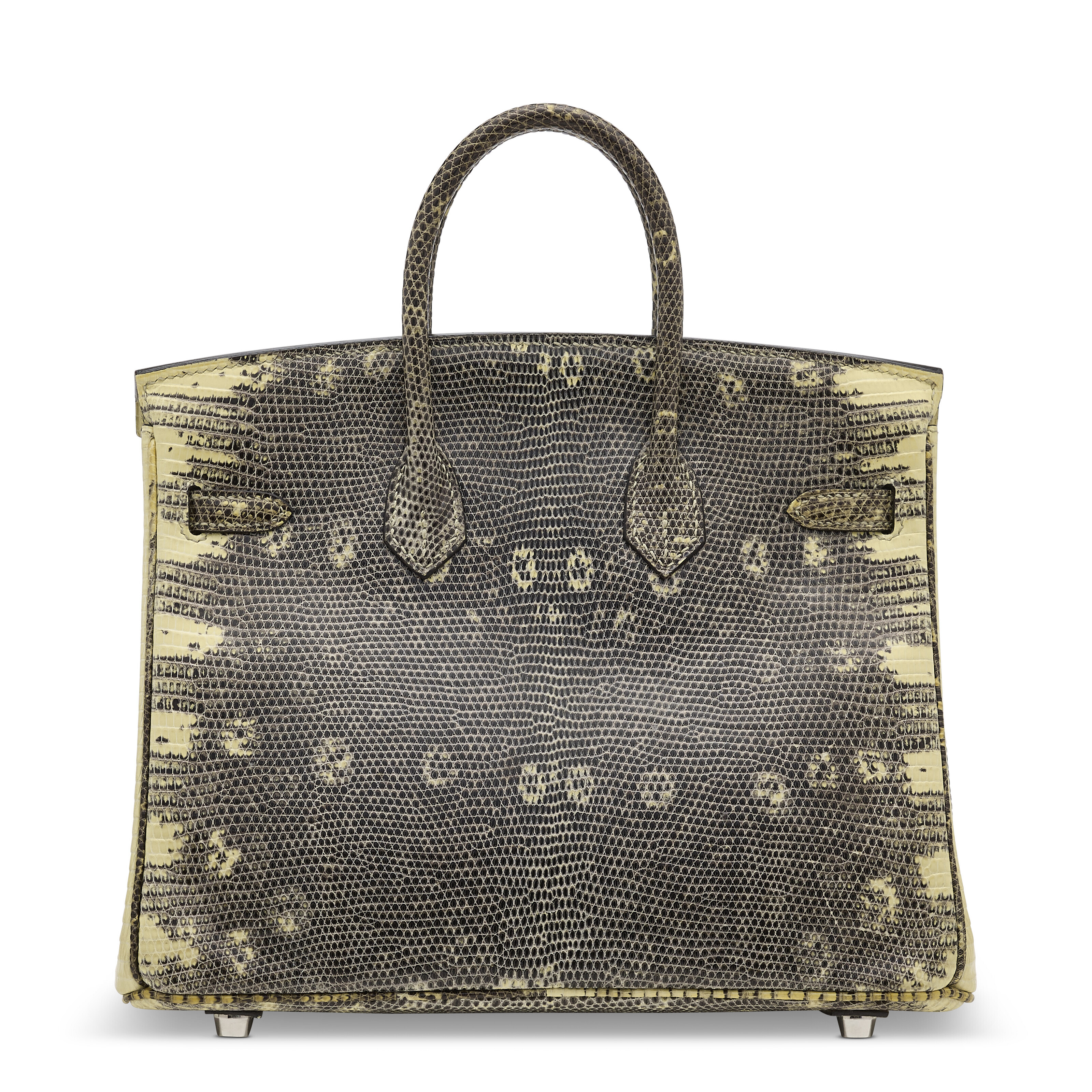A SHINY OMBRÉ SALVATOR LIZARD BIRKIN 25 WITH PALLADIUM HARDWARE