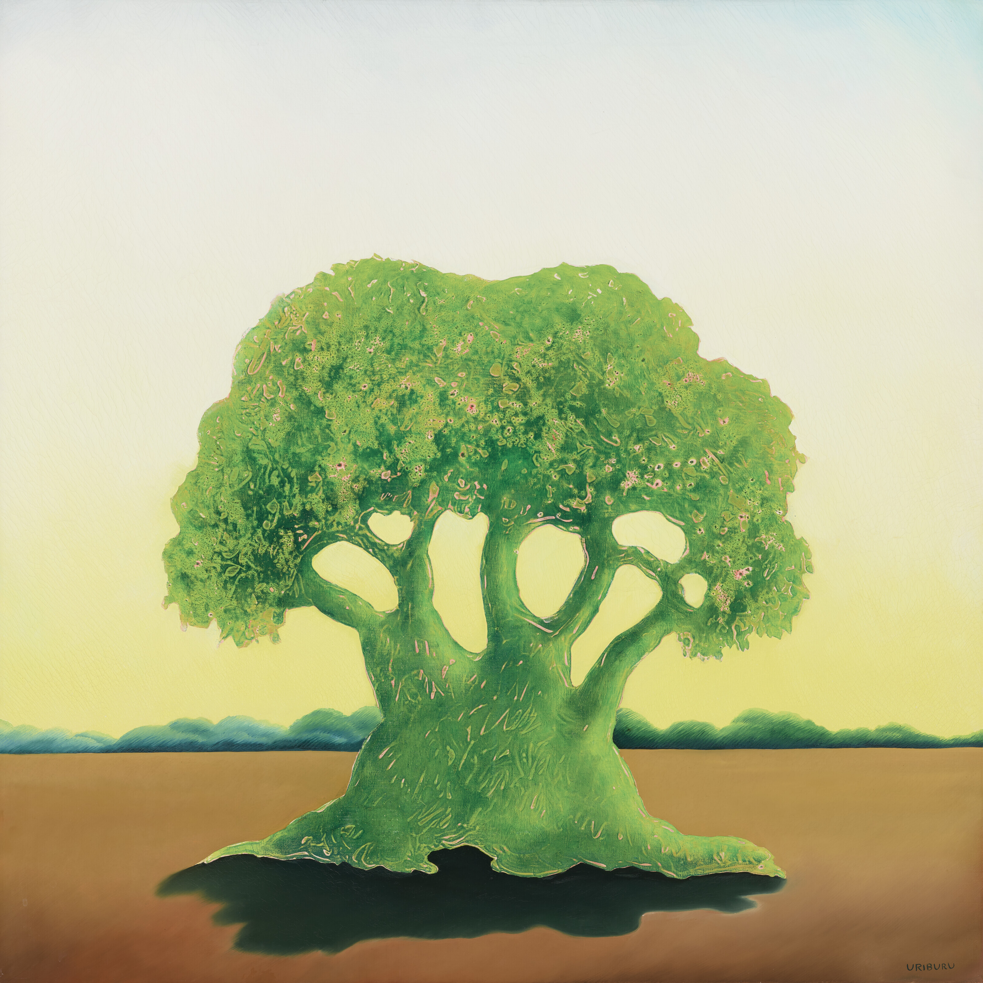 Catalog image of Ombú Solitario