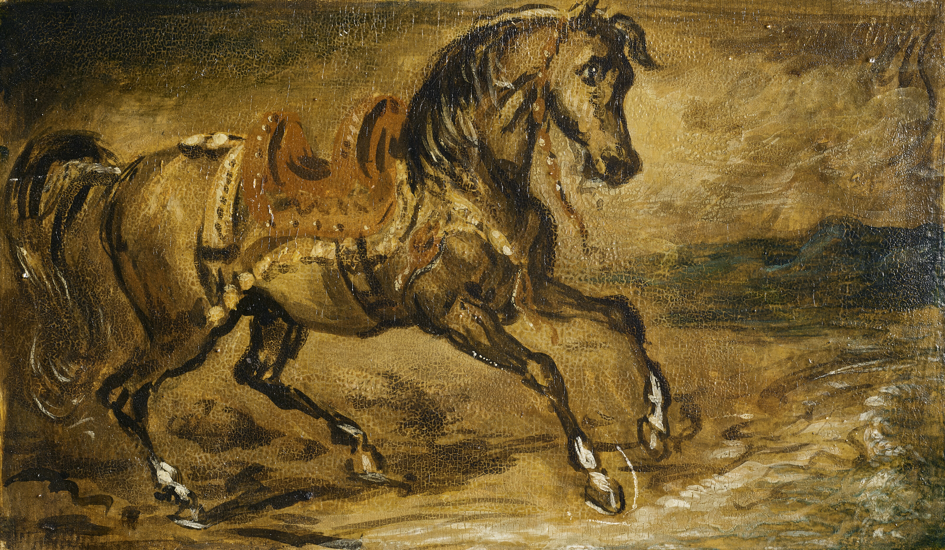Cavallo bruno