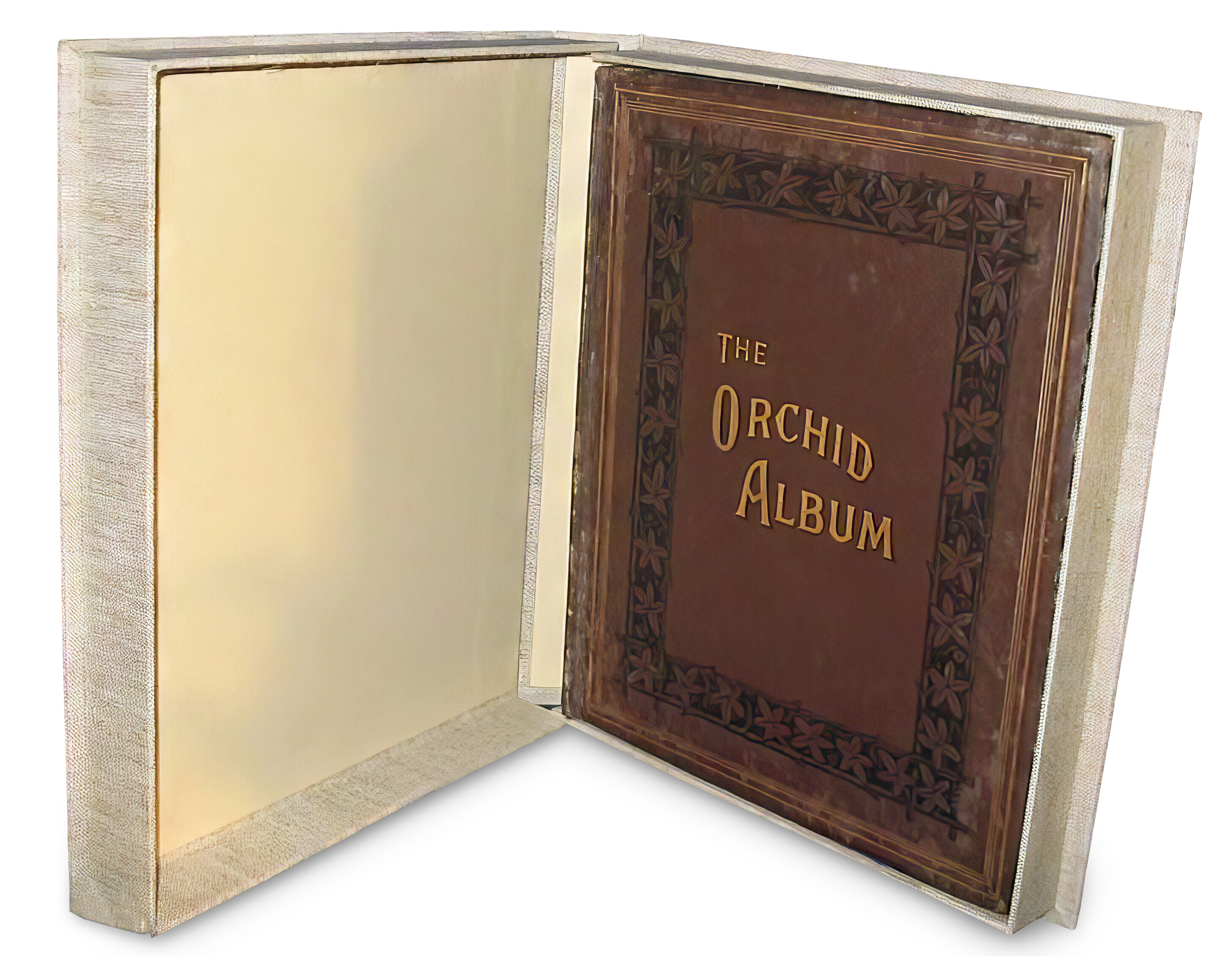 The Orchid Album, Robert Warner, Benjamin Samuel Williams and