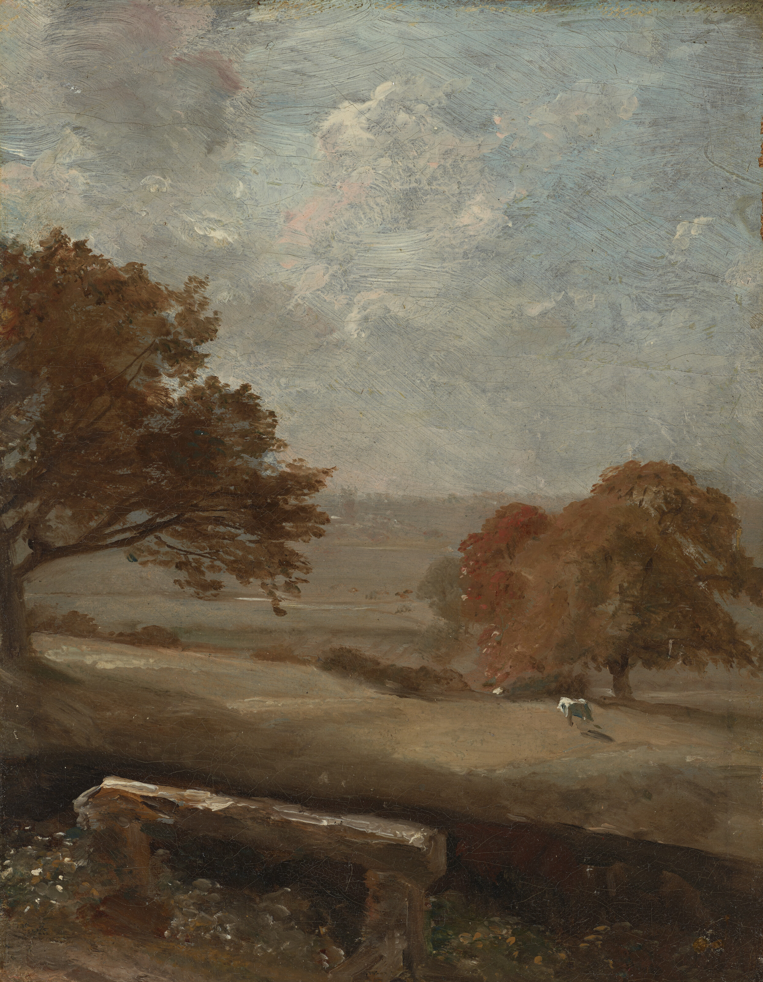 A park glade, with Dedham Church beyond