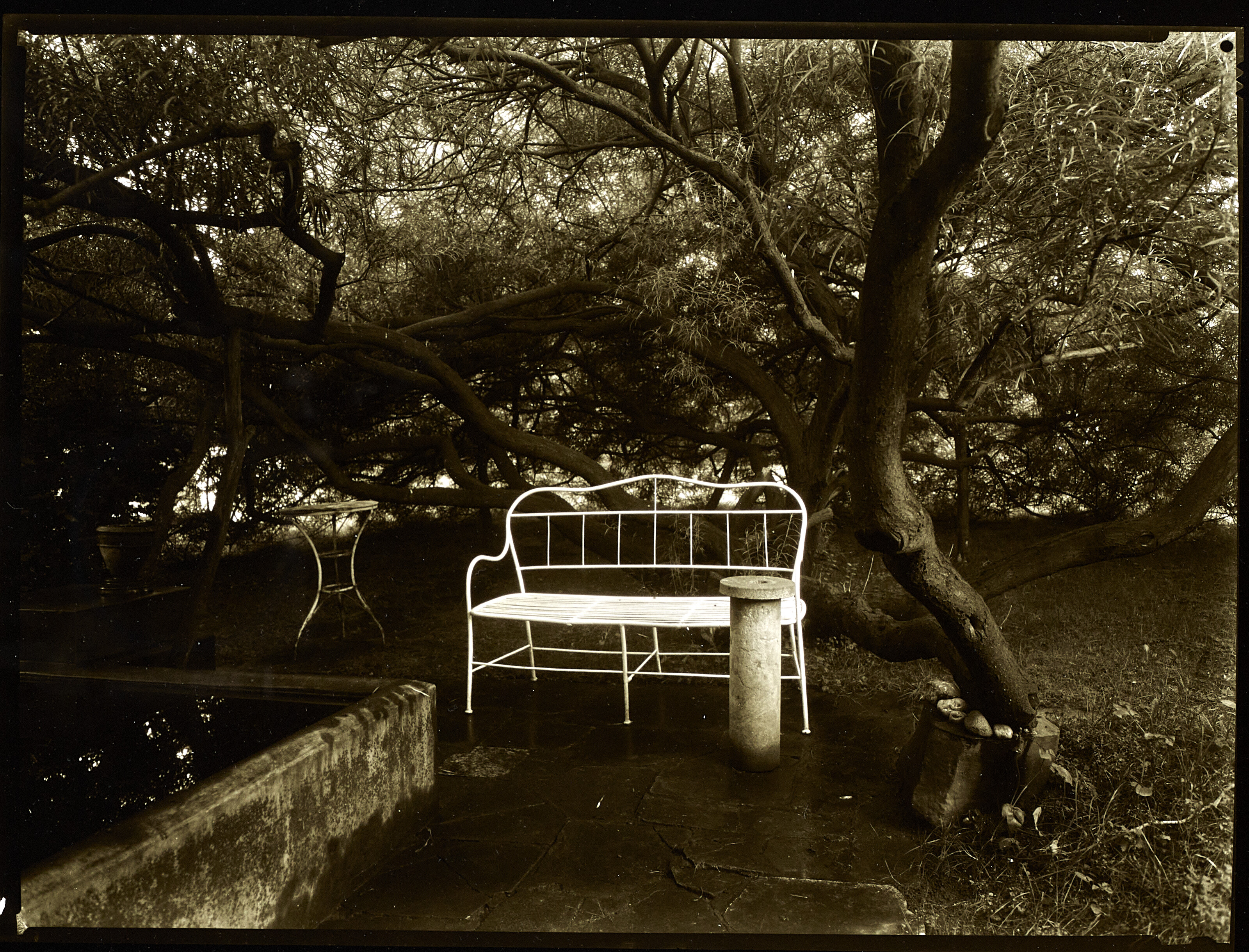 JOSEF SUDEK (1896–1976), Magic Garden, 1954 | Christie's