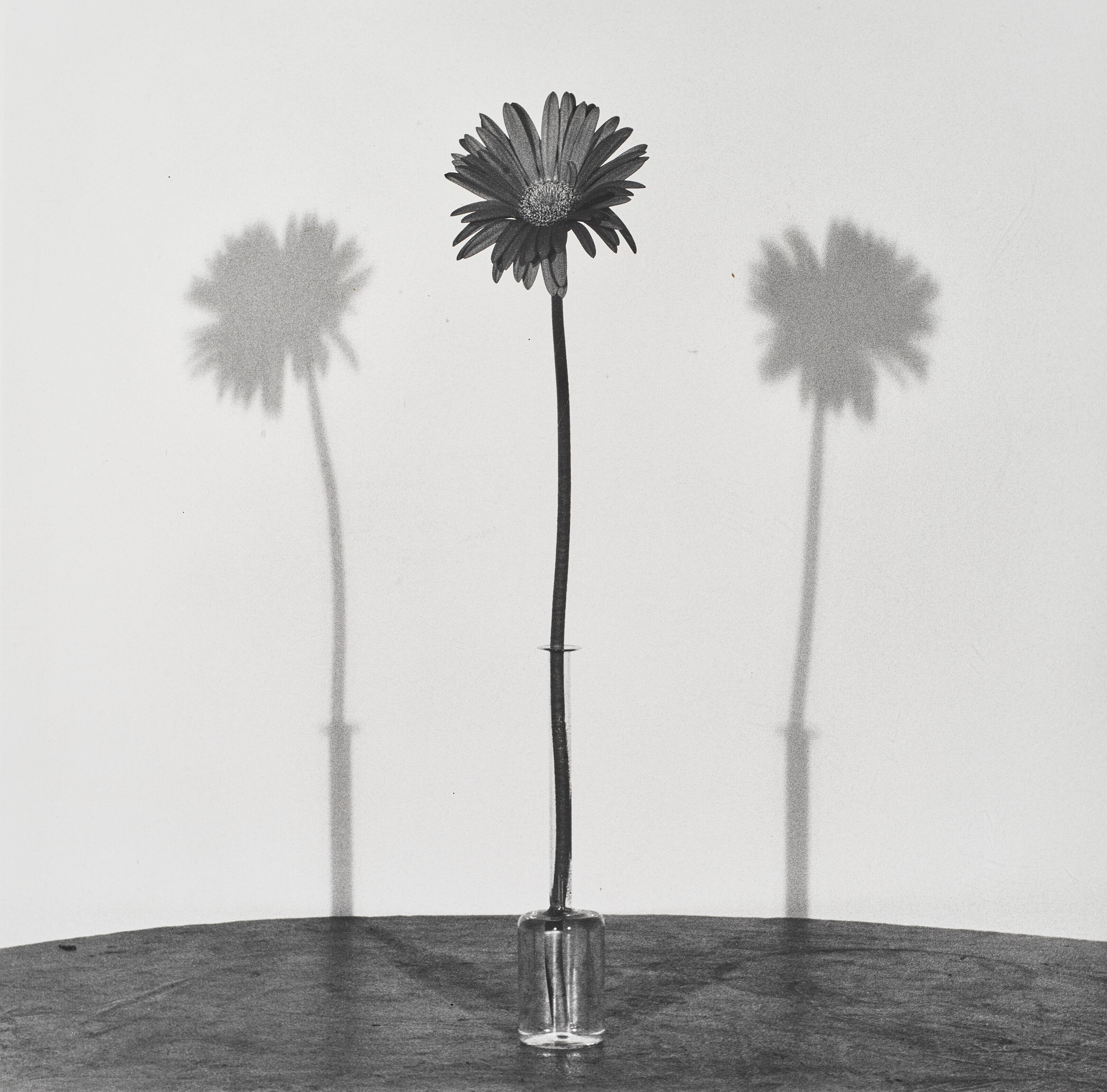 ROBERT MAPPLETHORPE (1946–1989), Daisy, 1979 | Christie's