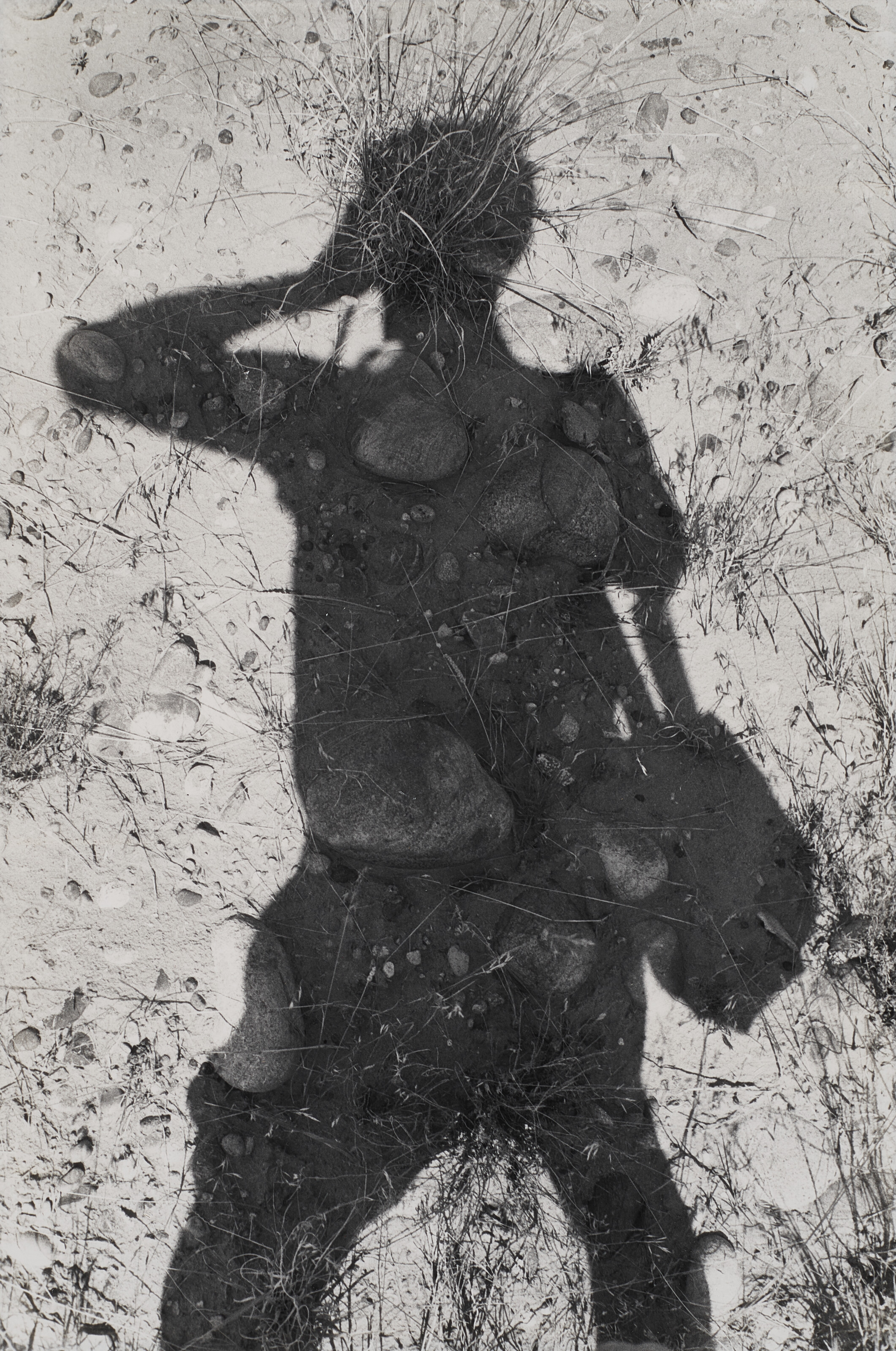 LEE FRIEDLANDER (B. 1934), Canyon de Chelly, 1983 | Christie's