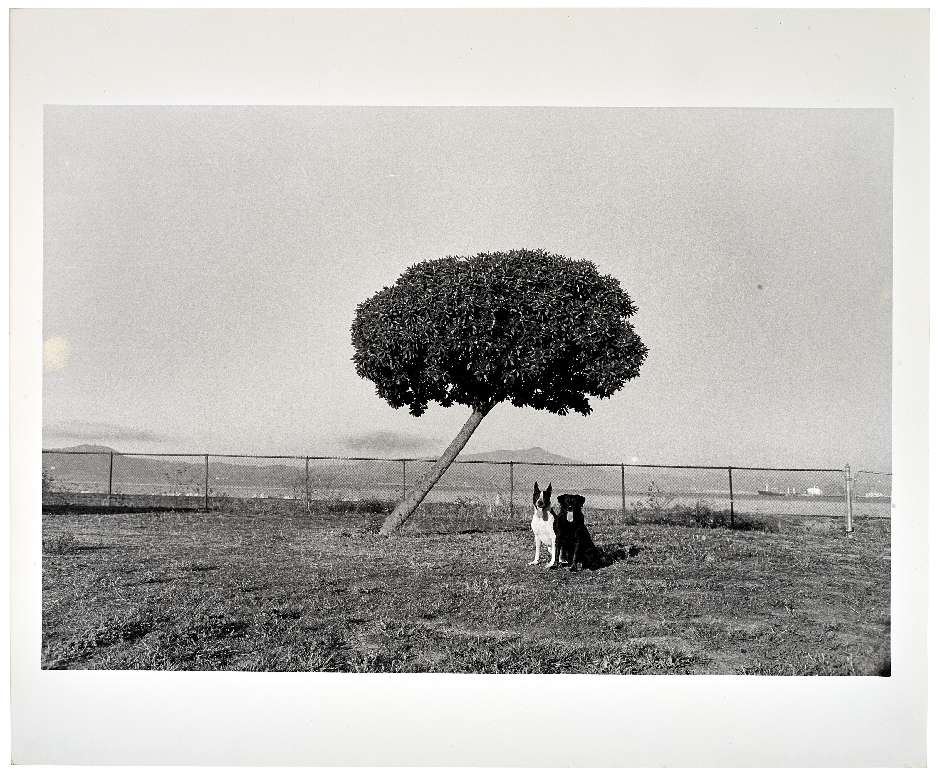 HENRY WESSEL アートブック Gallery Min: Henry Wessel | Henry WESSEL, Stefan, JANACEK