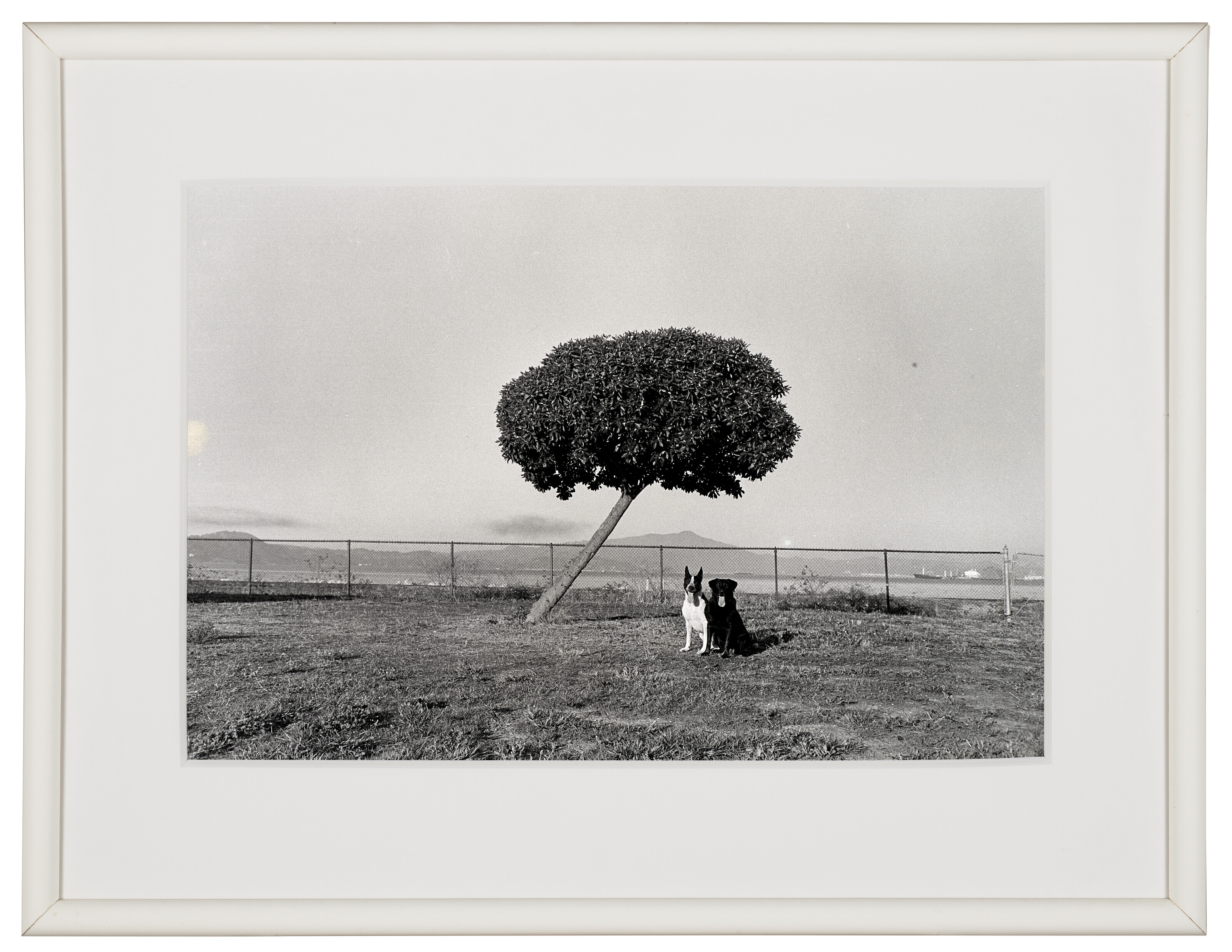 HENRY WESSEL (1942–2018), Tasha and Pekoe, 1988 | Christie's