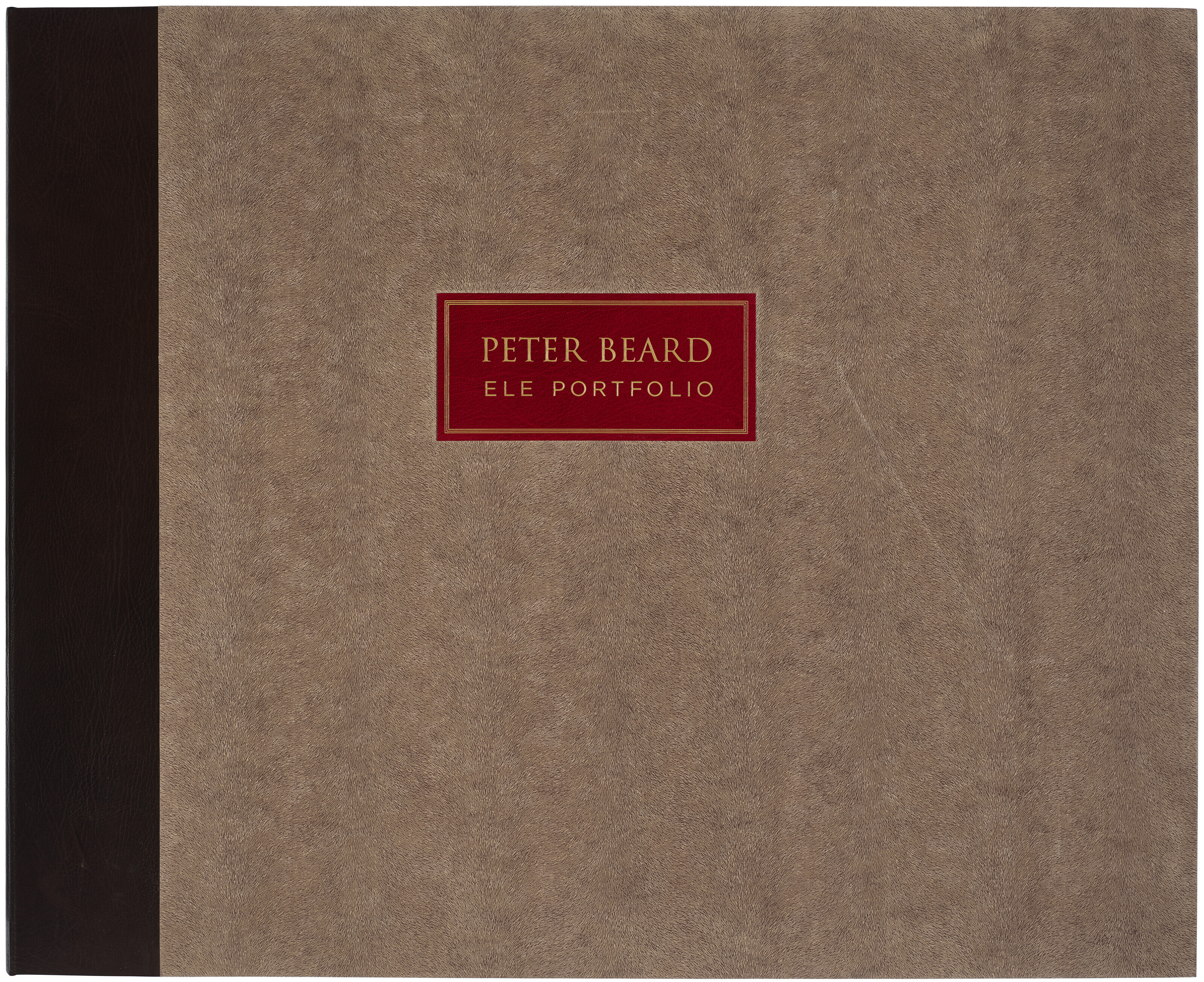 PETER BEARD (1938–2020), Ele Portfolio | Christie's