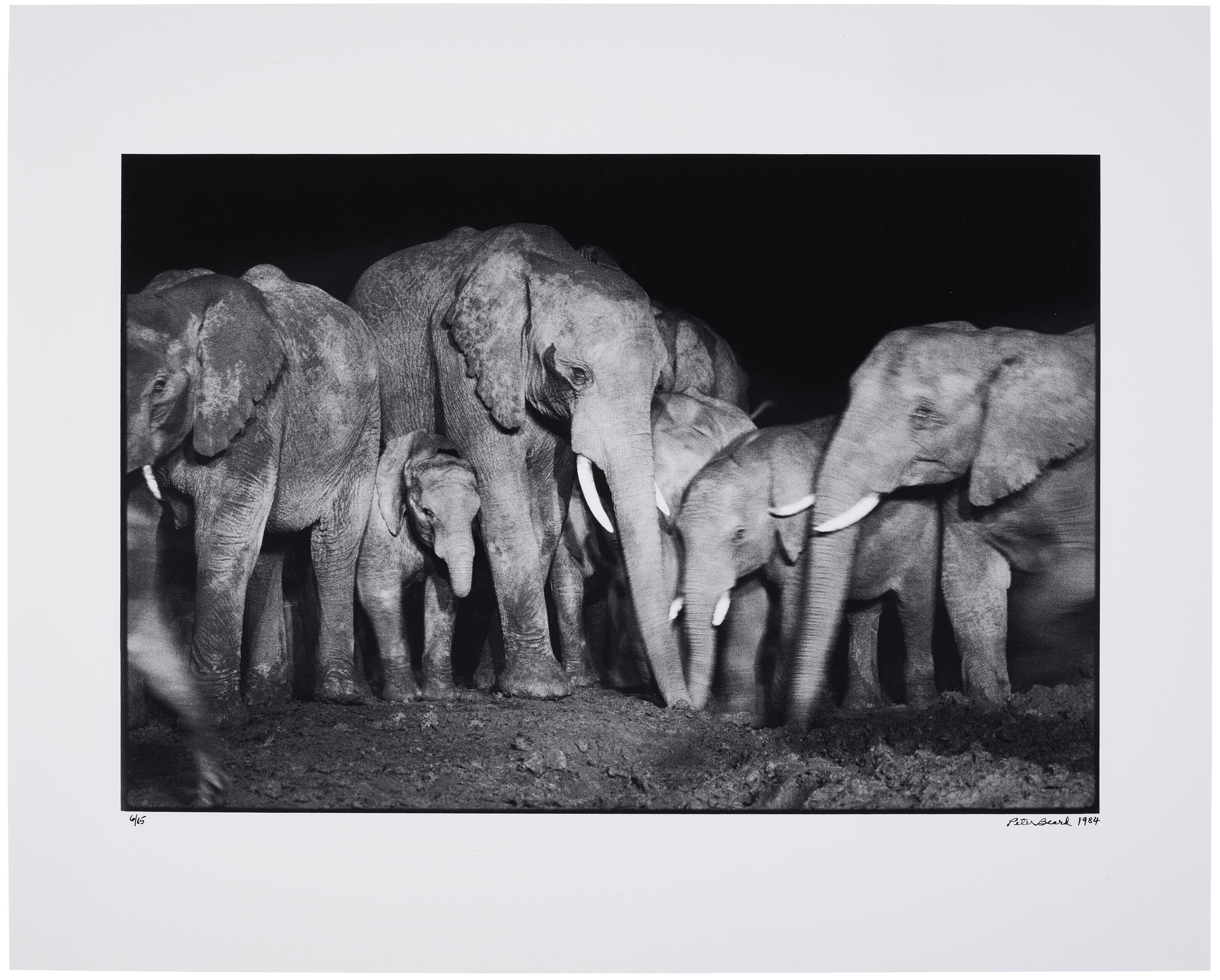 PETER BEARD (1938–2020), Ele Portfolio | Christie's