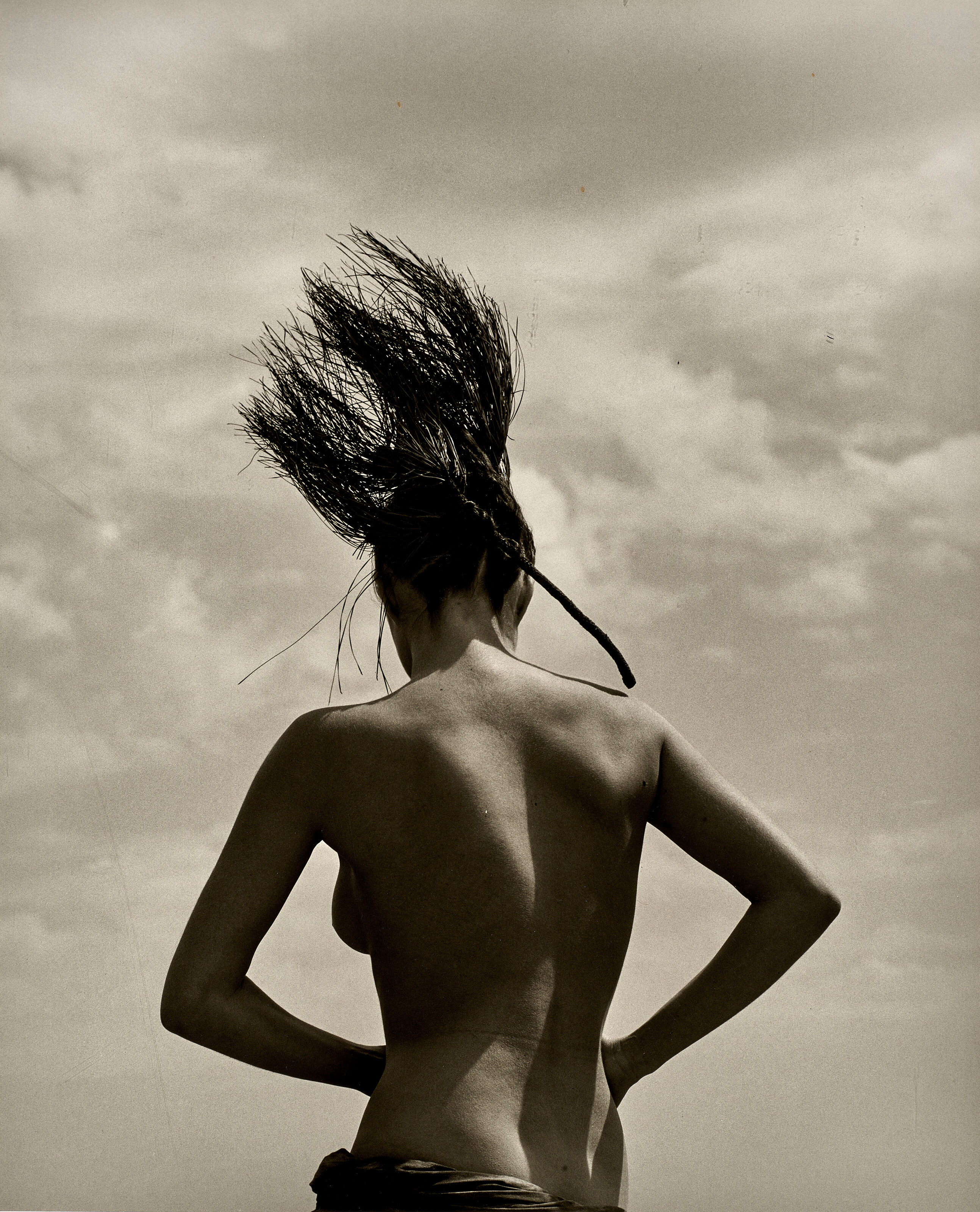 Catalog image of Consuelo with Pine Branch, Paradise Cove, 1984