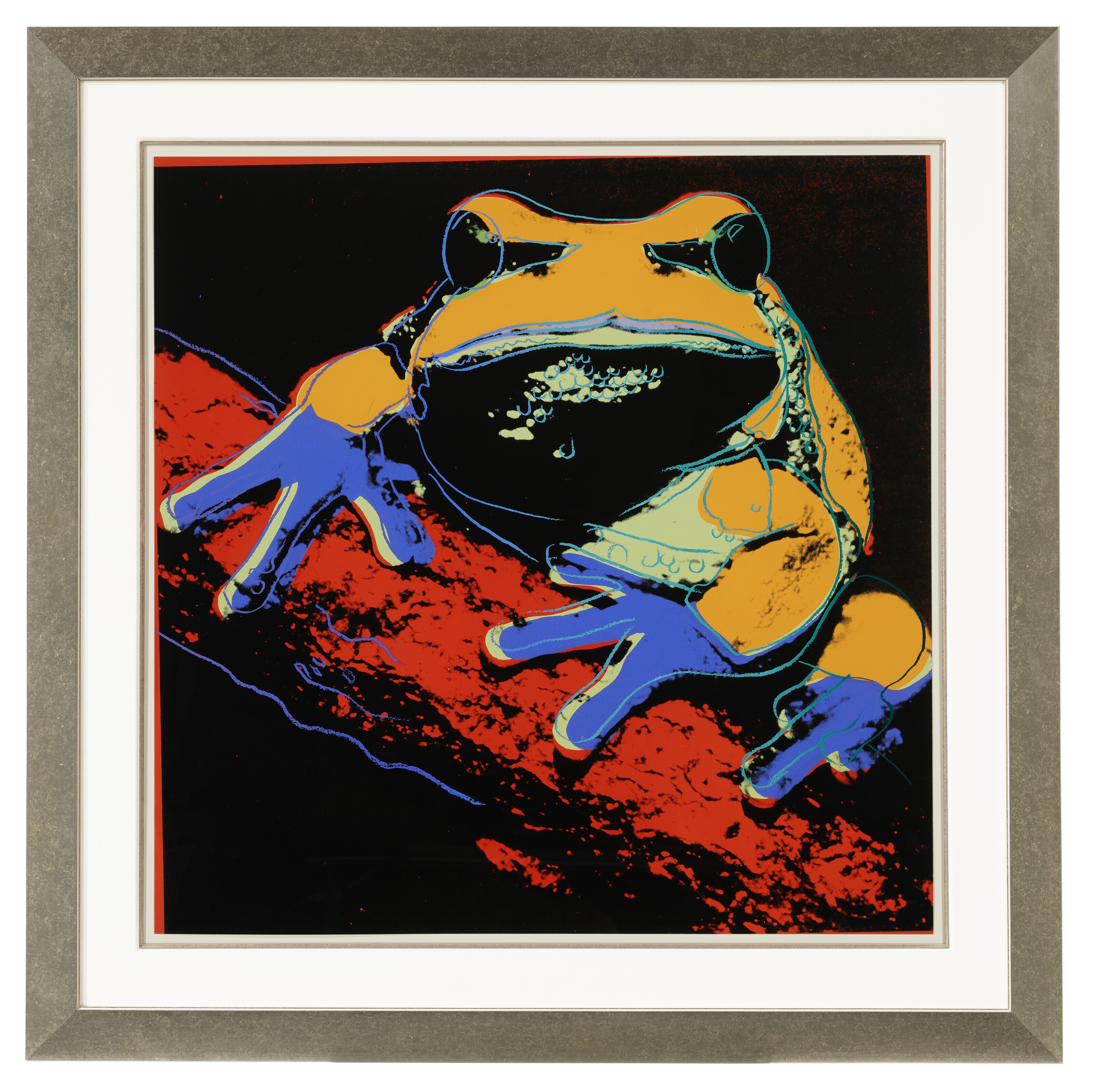 有名ブランド ANDY WARHOL (1928-1987), Pine Barrens Tree Frog, from 版画