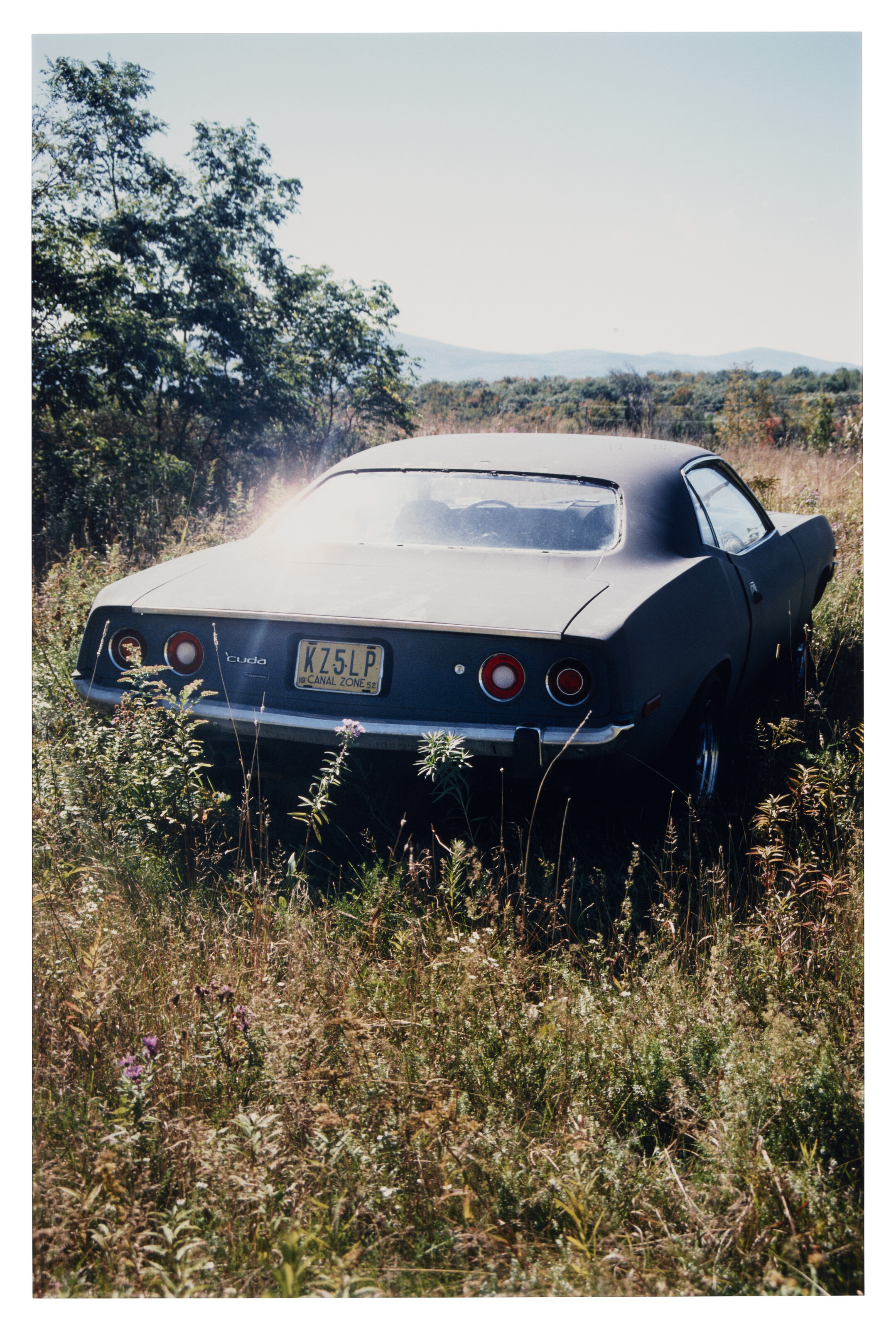 RICHARD PRINCE (B. 1949), Untitled (Upstate) | Christie's