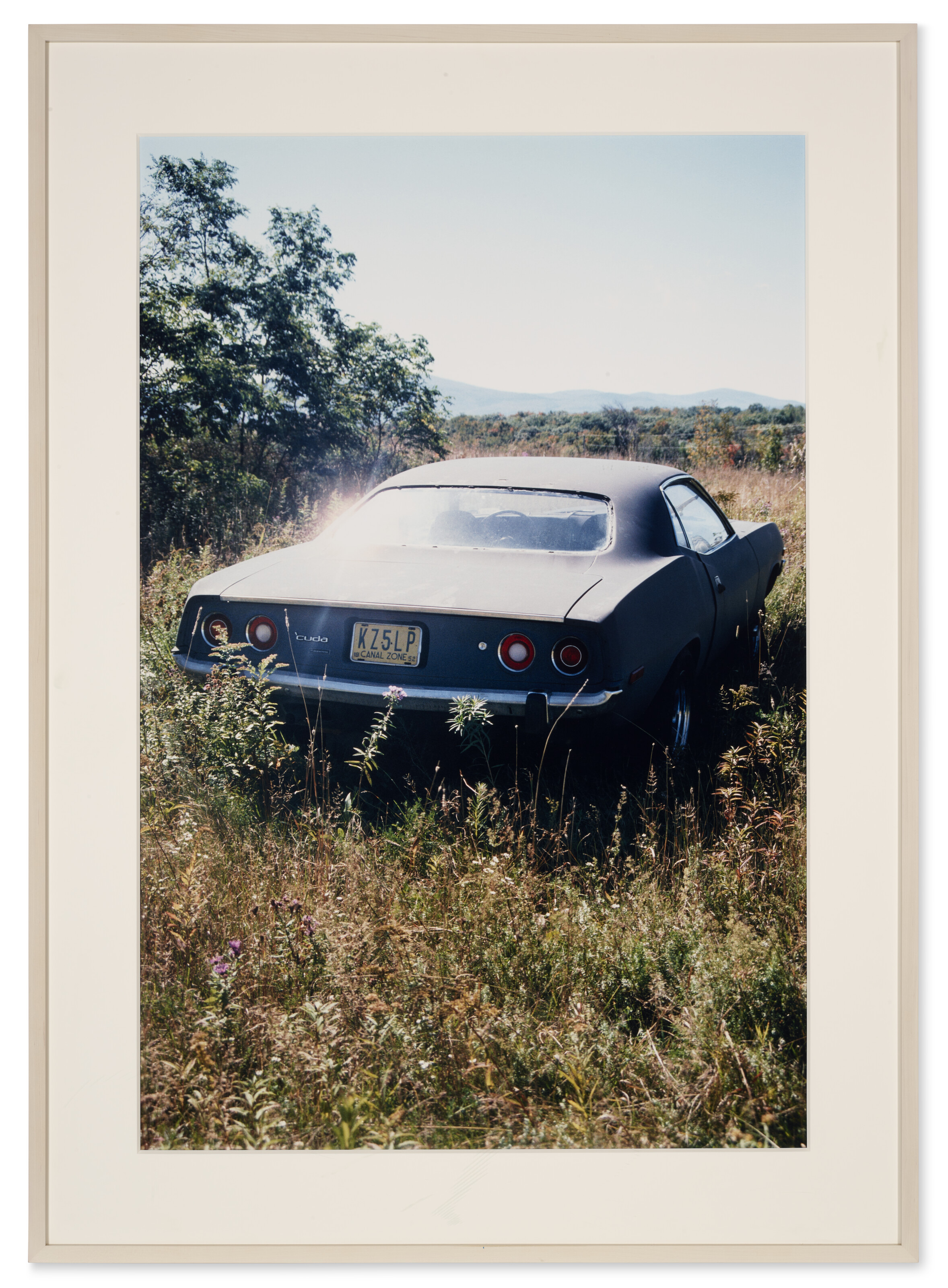 RICHARD PRINCE (B. 1949), Untitled (Upstate) | Christie's