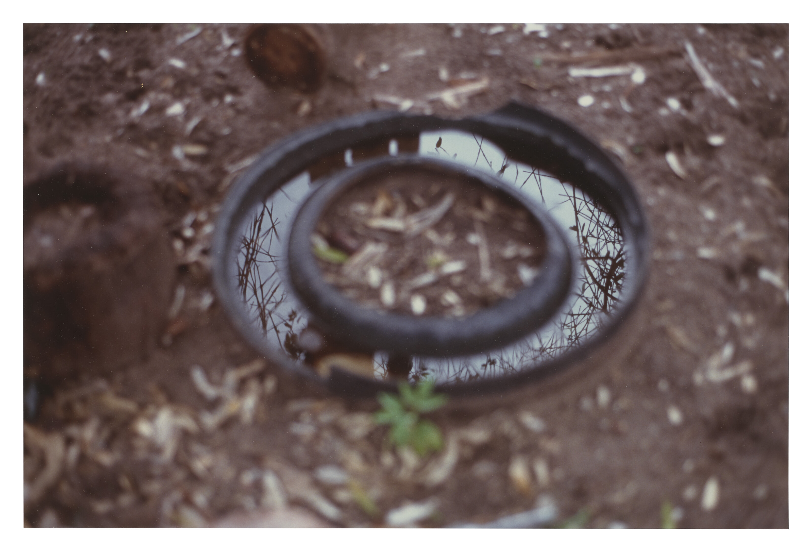 Catalog image of Round Mirror Distance