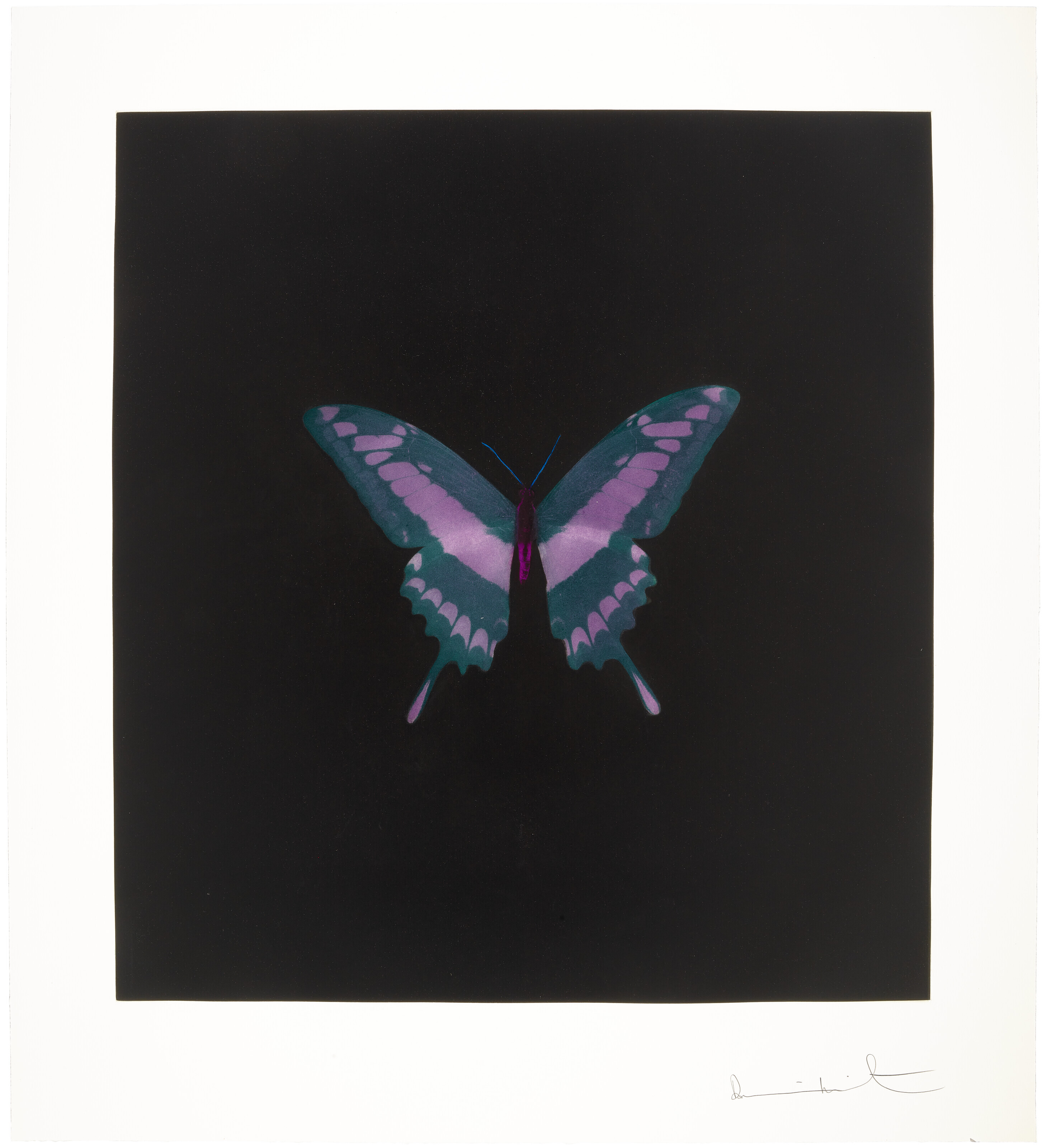 Damien Hirst / ヴィンテージ / 額入りポスター il_1080xN.3844316580_hesv.jpg