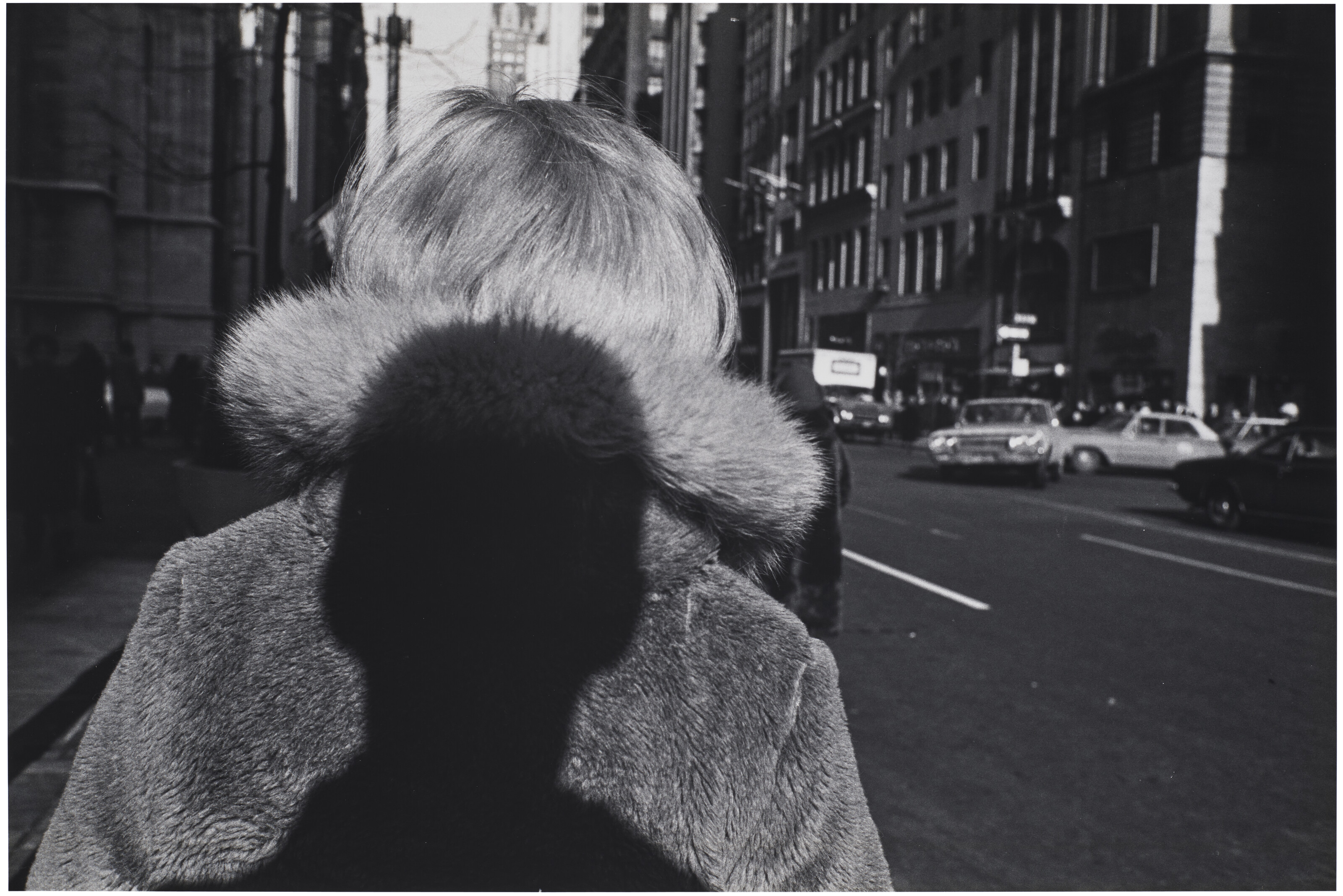 【The Desert Seen】Lee Friedlander　未読、美品 Lee Friedlander: The Desert Seen: Friedlander, Lee