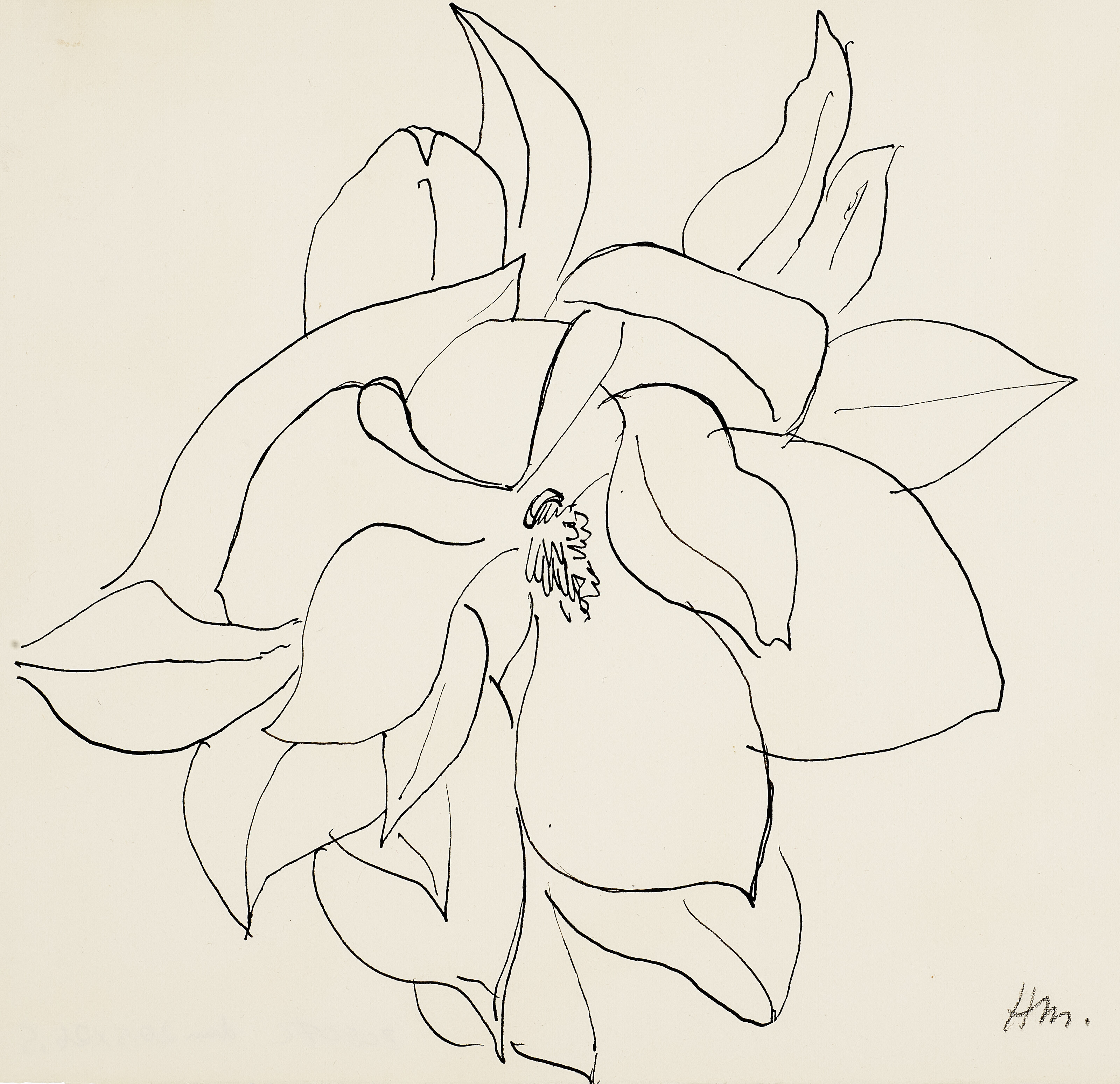 HENRI MATISSE (1869-1954), Feuilles de figuier | Christie's