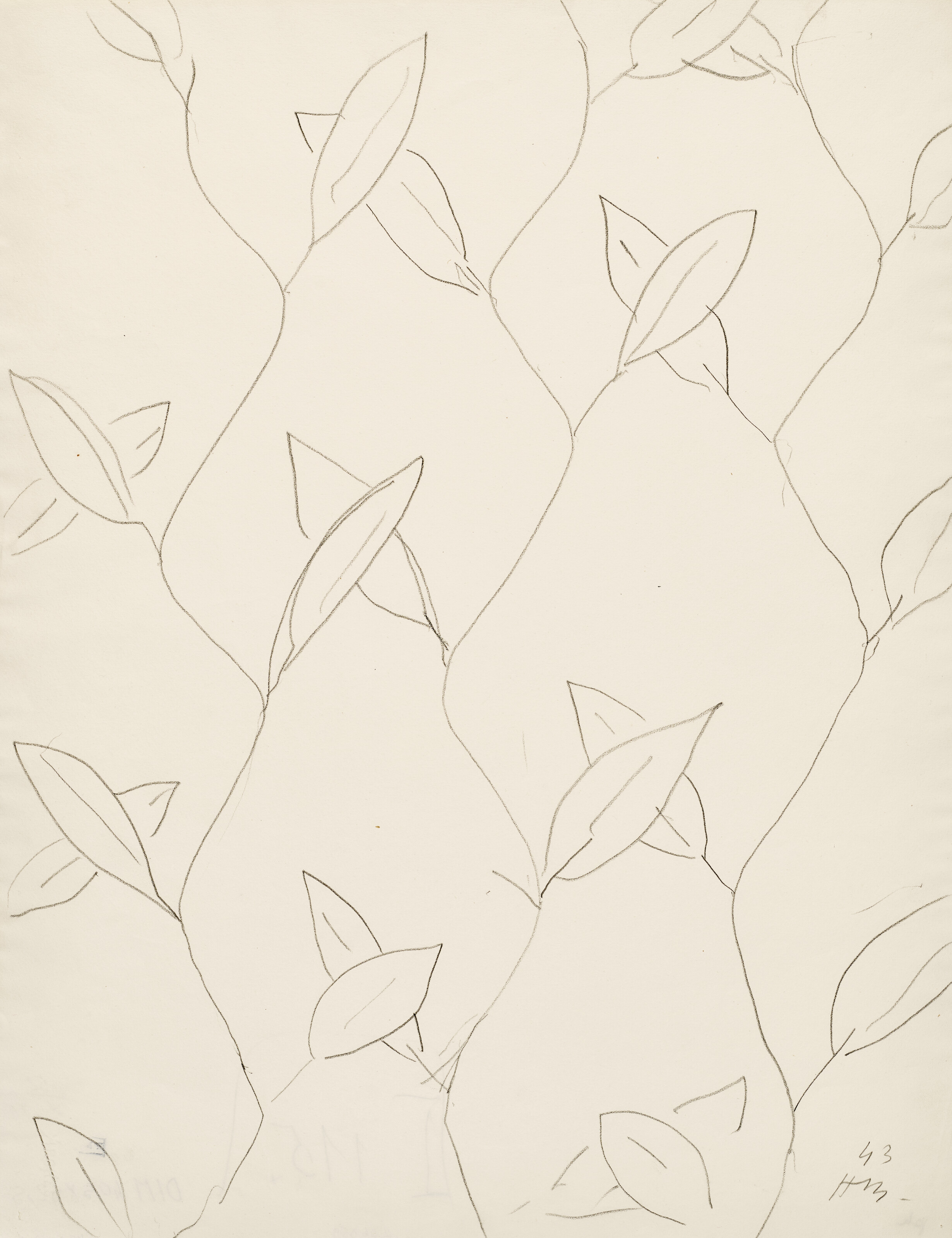 Feuilles, étude