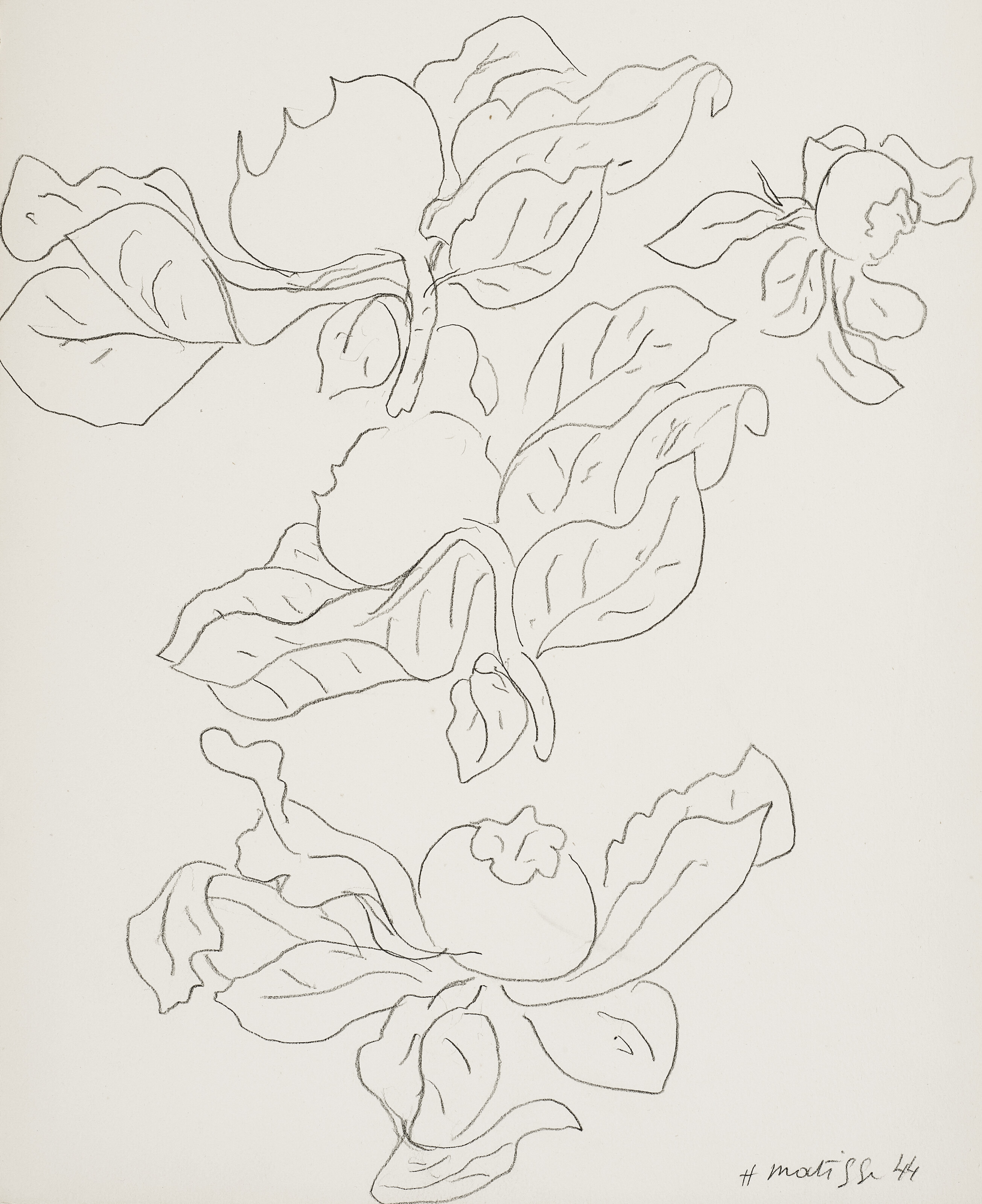 henri-matisse-1869-1954-etude-de-fruits-et-de-feuilles-de-n-flier