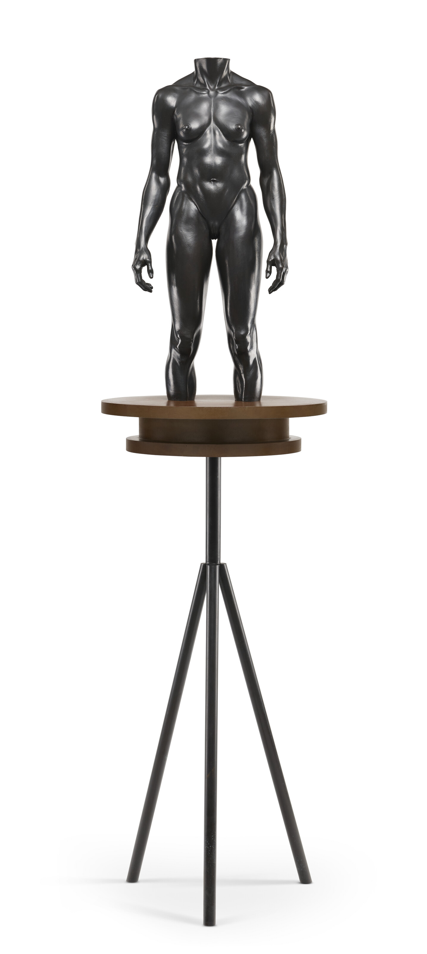 Catalog image of Olympic Torso (Female)