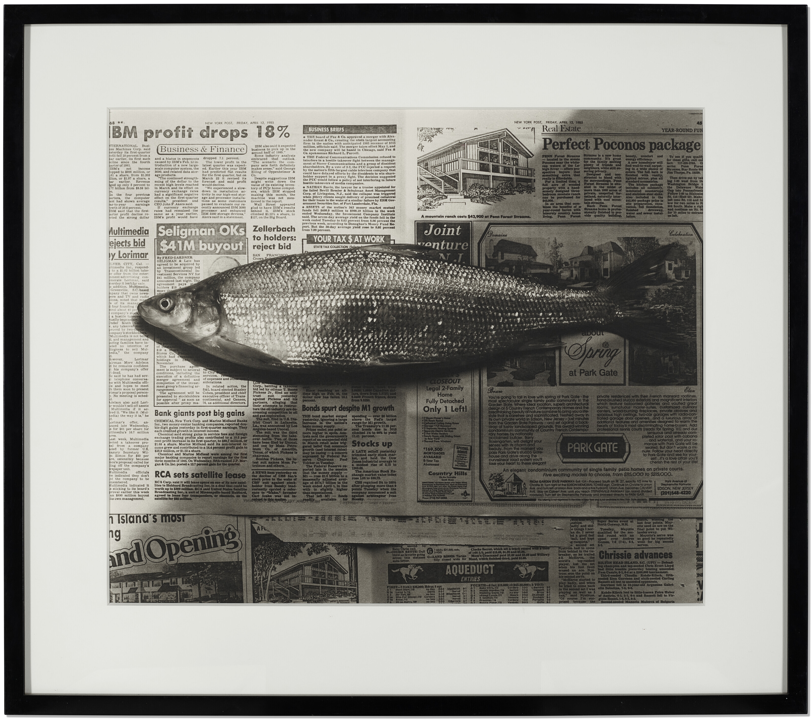 ROBERT MAPPLETHORPE (1946–1989), Fish | Christie's