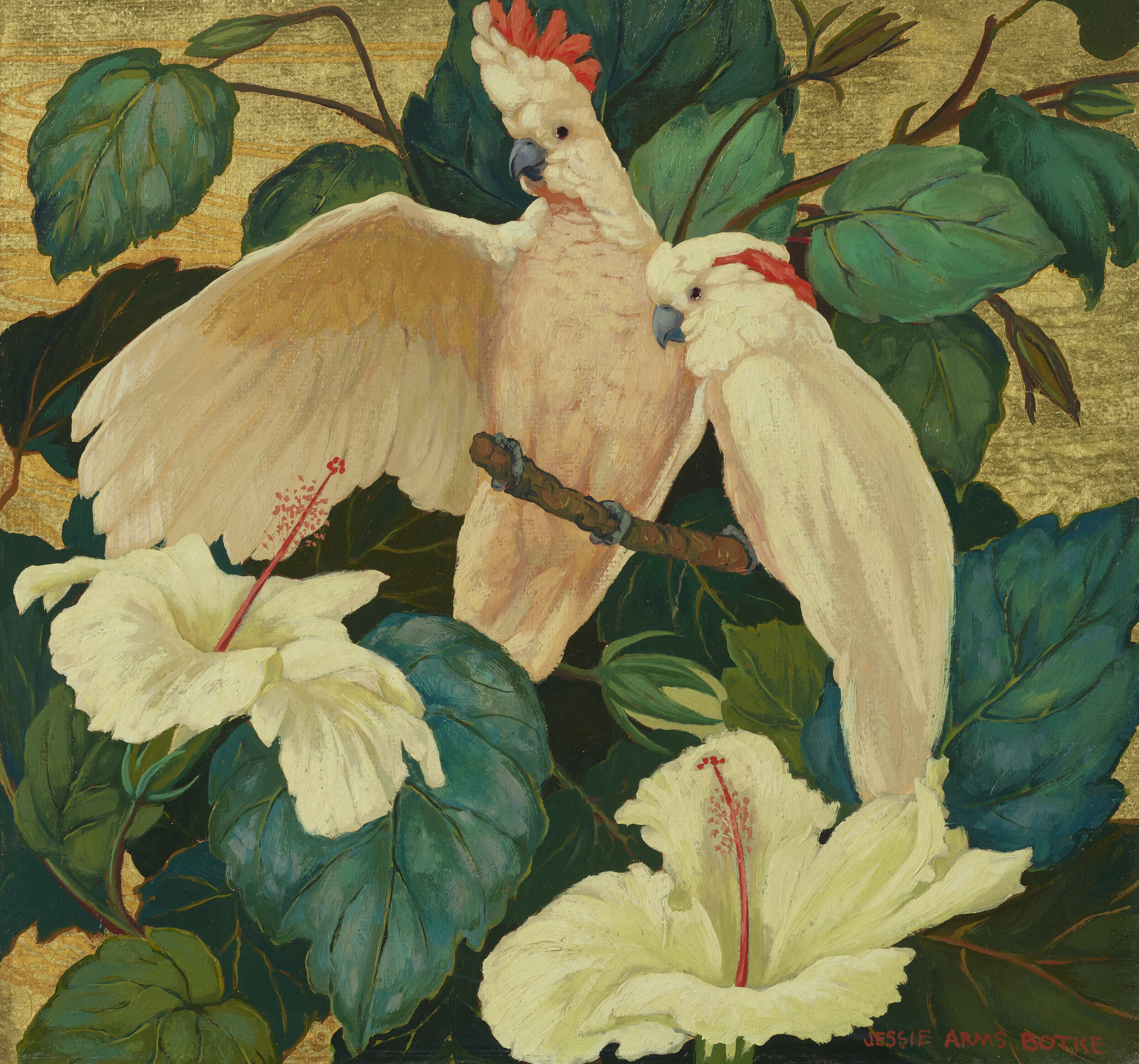 JESSIE ARMS BOTKE (1883-1971), Cockatoos | Christie's