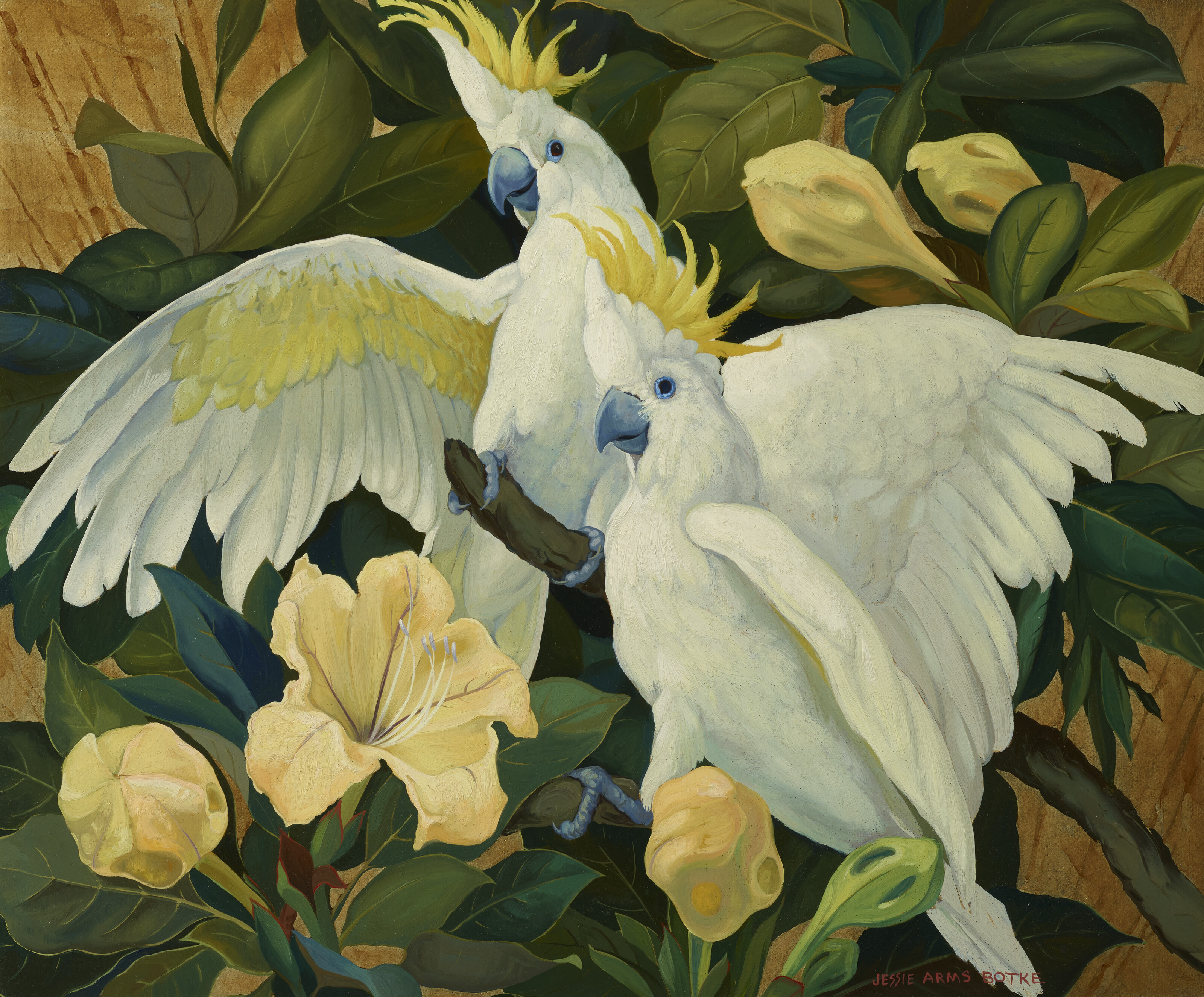 JESSIE ARMS BOTKE (1883-1971), Two Cockatoos | Christie's