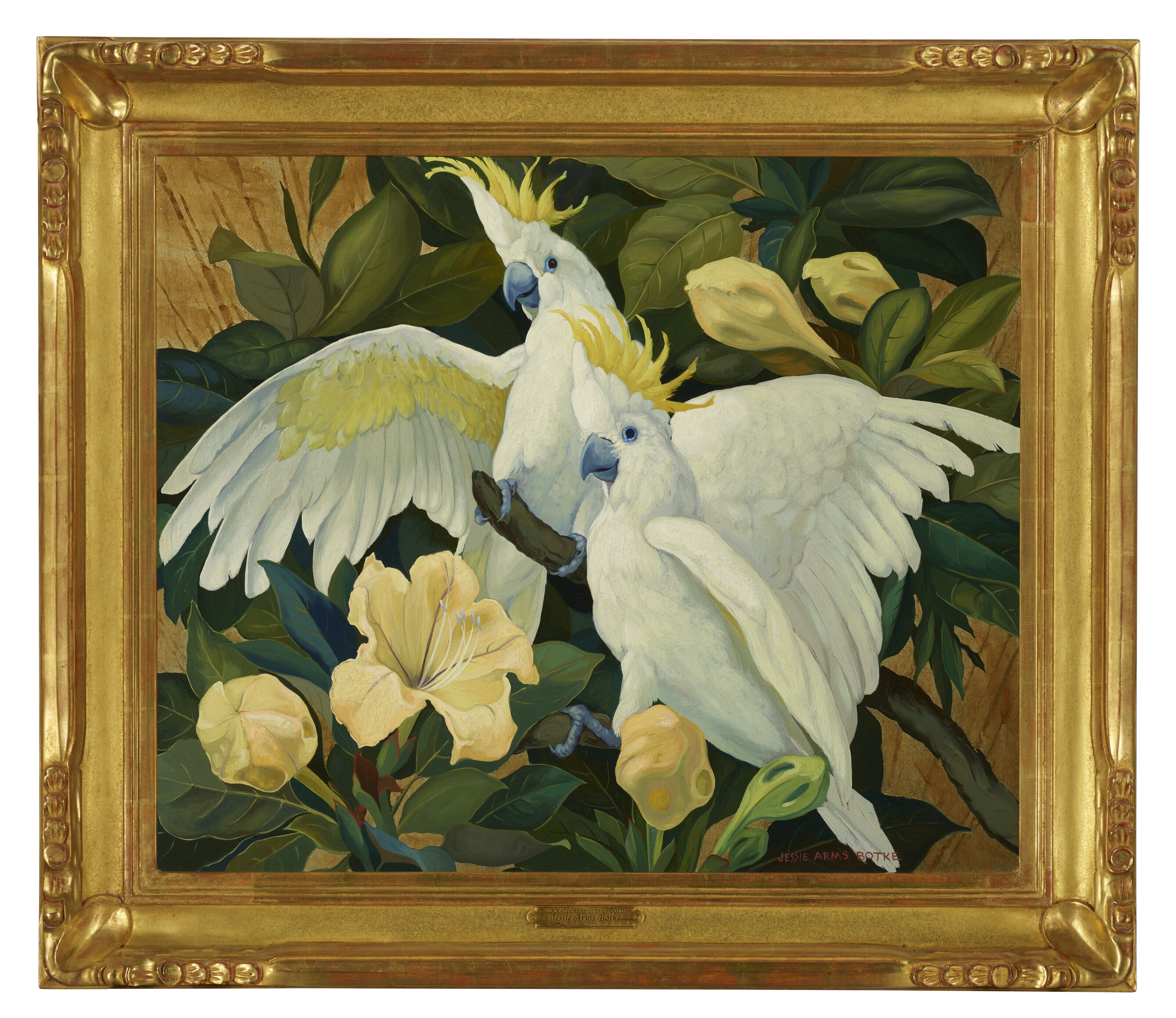 JESSIE ARMS BOTKE (1883-1971), Two Cockatoos | Christie's