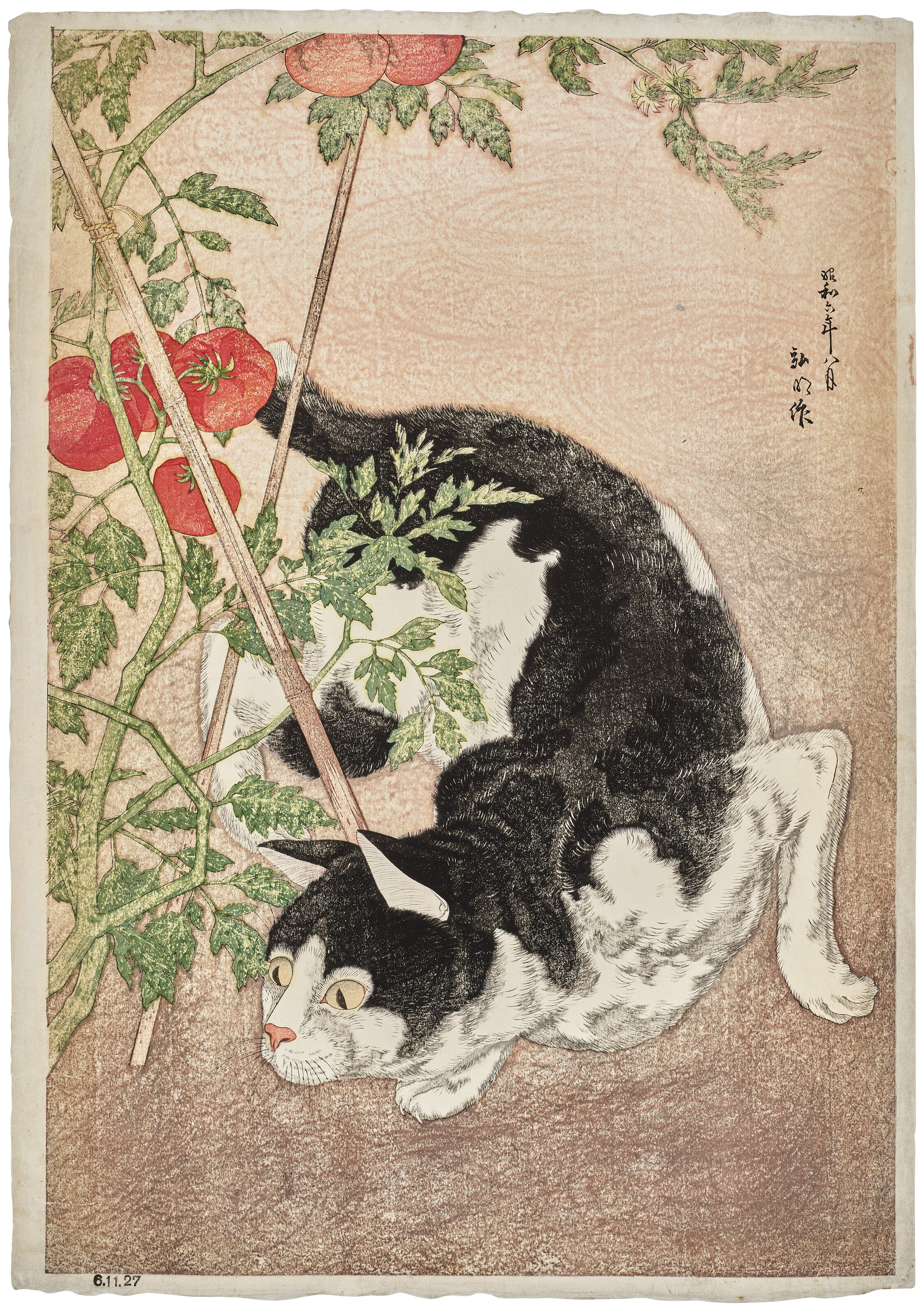 Catalog image of Cat and tomato plant