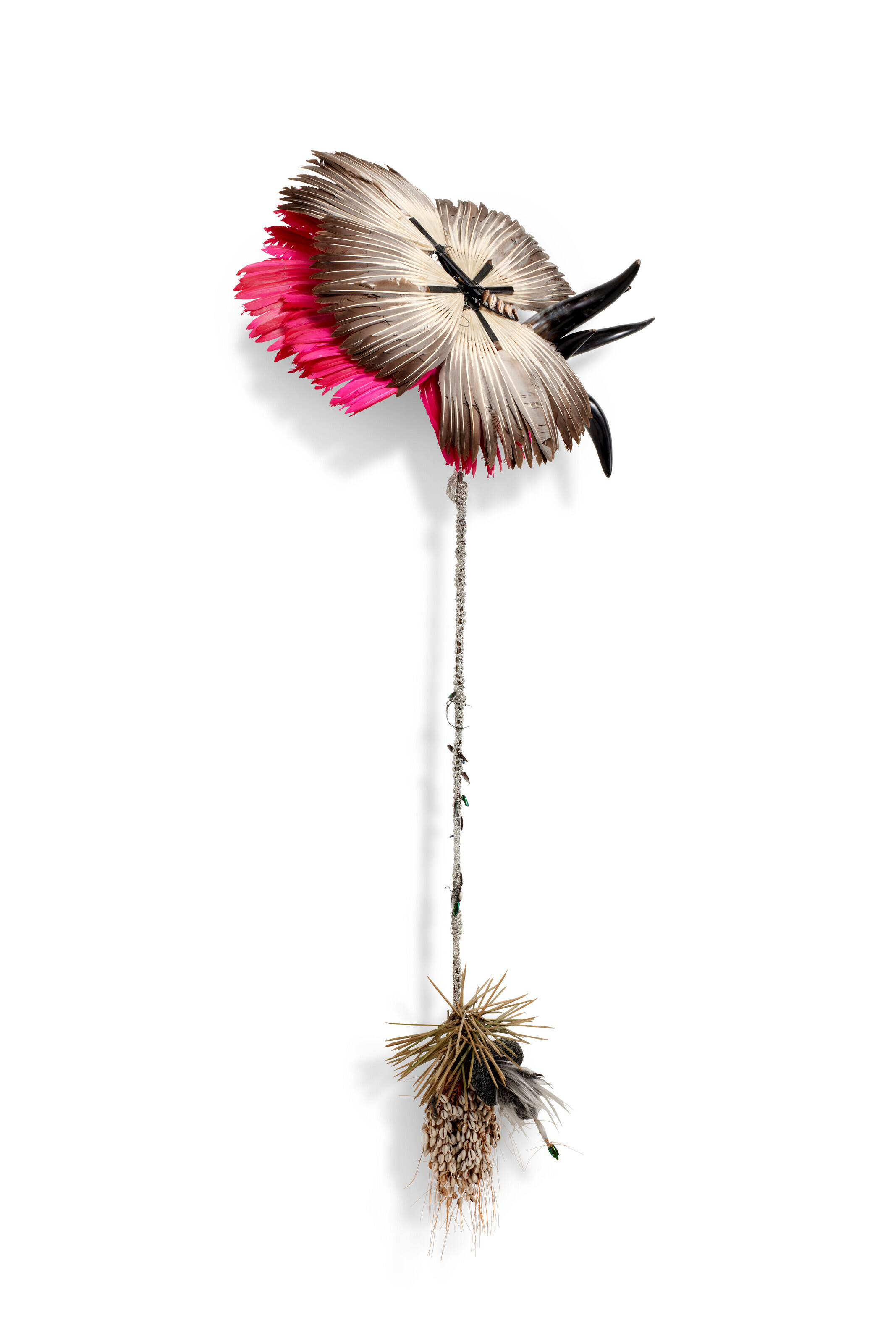 Catalog image of Feathery fountain horn and funy finger nail