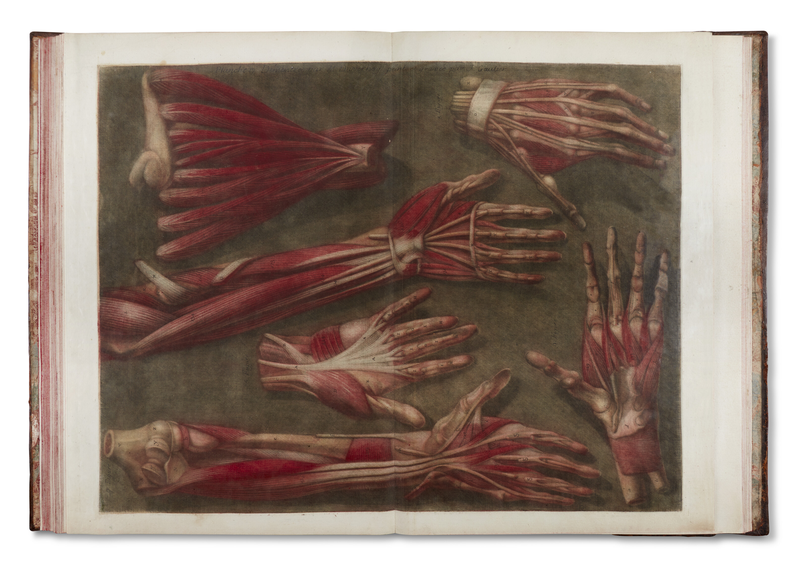 GAUTIER D'AGOTY, Jacques-Fabien (1716-1785), Myologie complette en couleur  et grandeur naturelle, composée de l'essai et de la suite de l'essai  d'anatomie... Paris : chez Gautier, Quillau et Lamesle, 1746 [1748]. |  Christie's