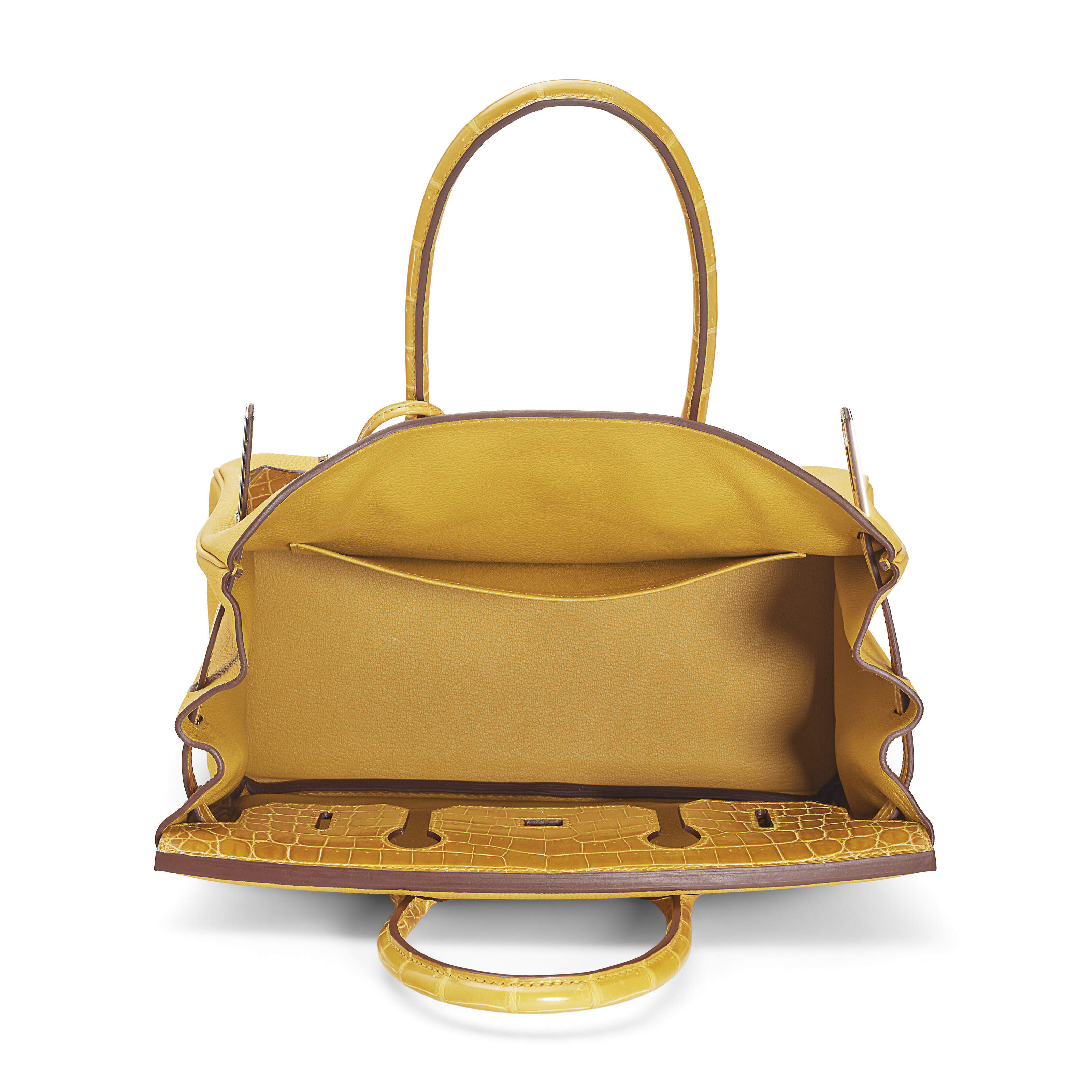 A LIMITED EDITION SHINY JAUNE AMBRE NILOTICUS CROCODILE & TOGO