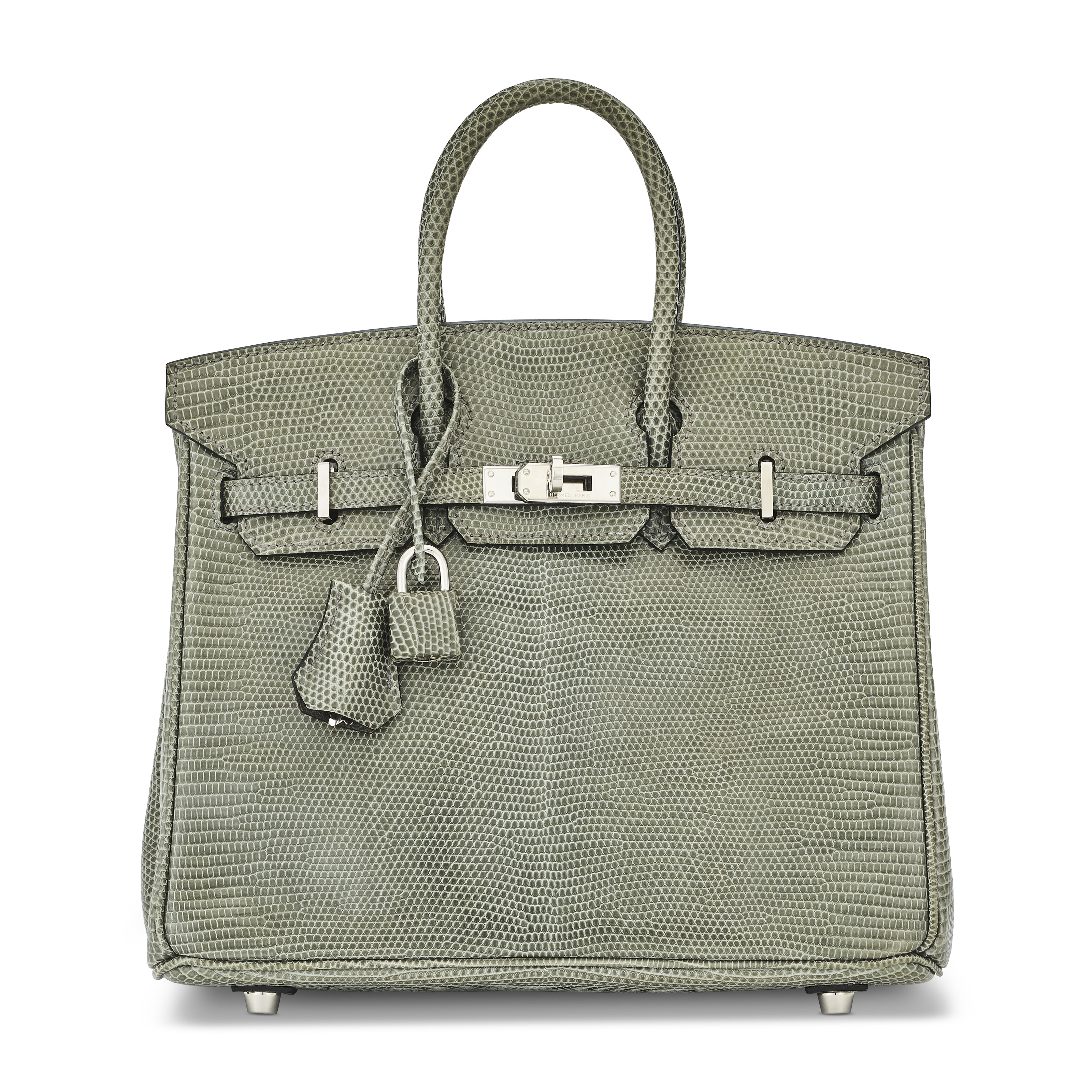 Himalaya niloticus crocodile mantra diamond birkin 30