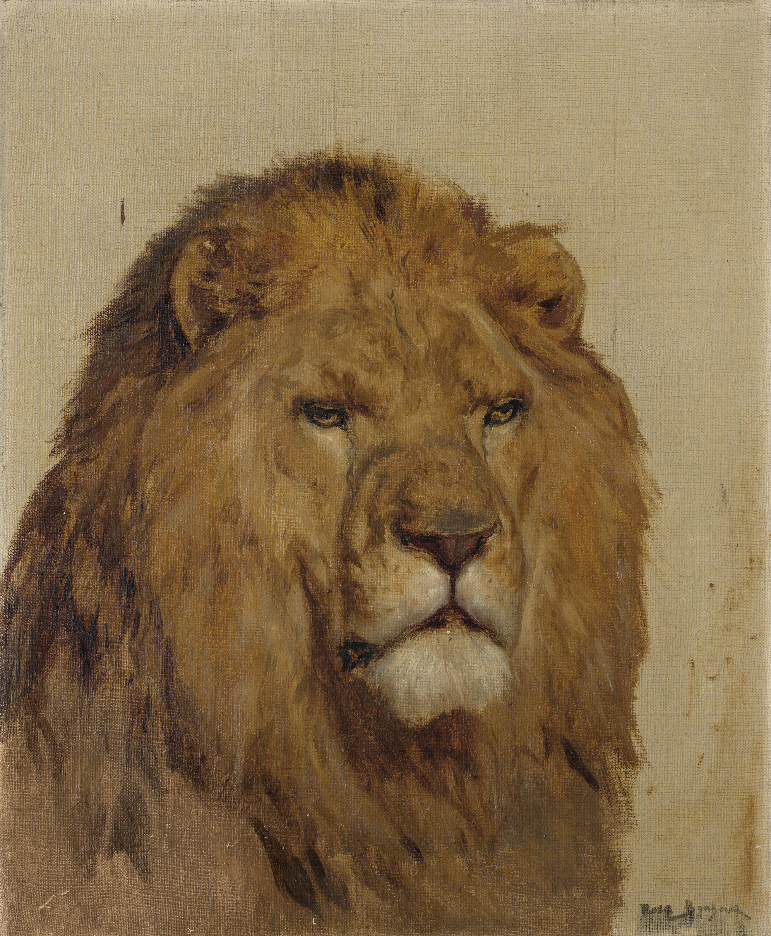 Catalog image of Une tête de lion