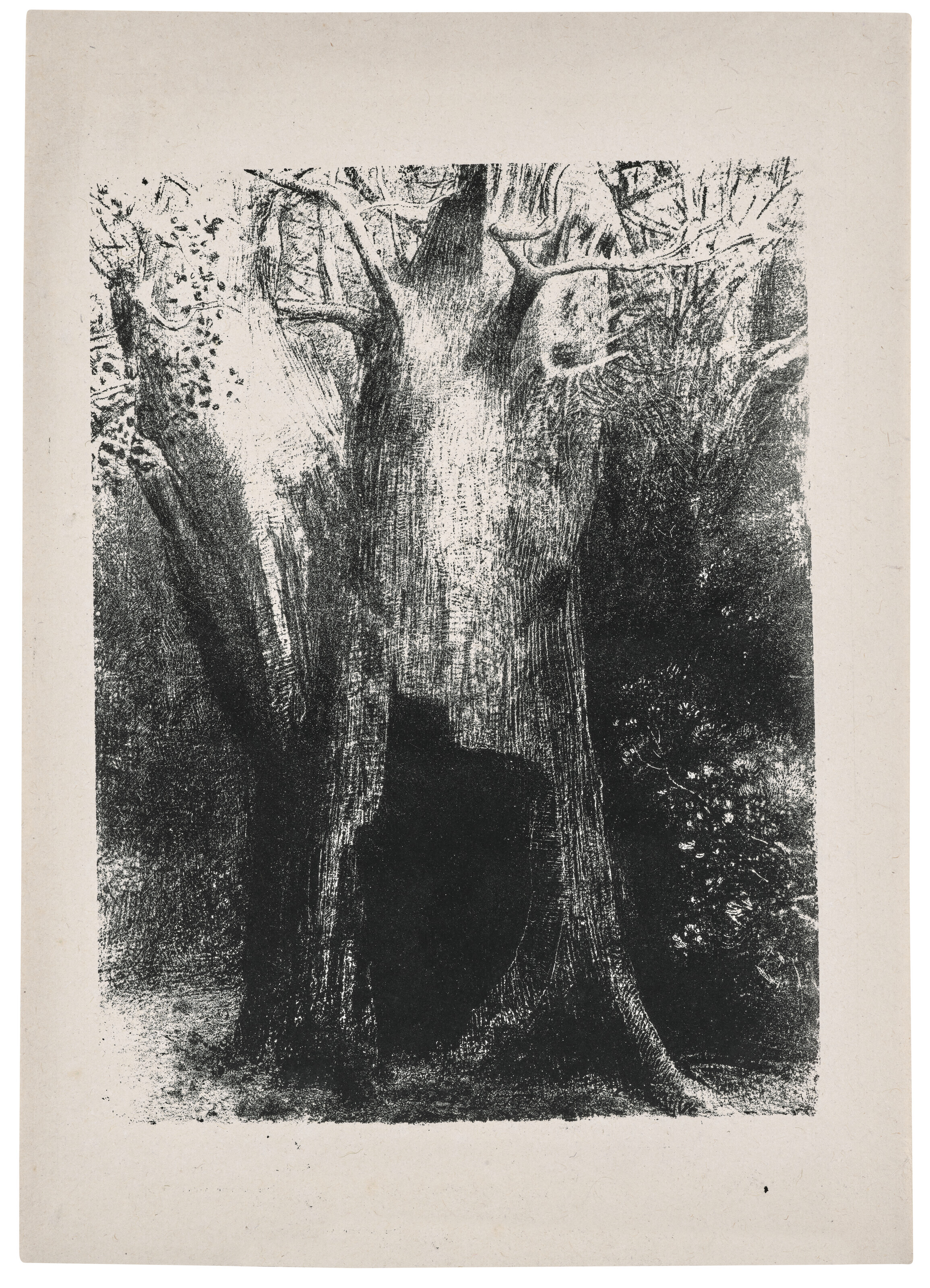 Je me suis enfoncé dans la solitude. J'habitais l'arbre derrière moi, planche issue de La Tentation de Saint Antoine
