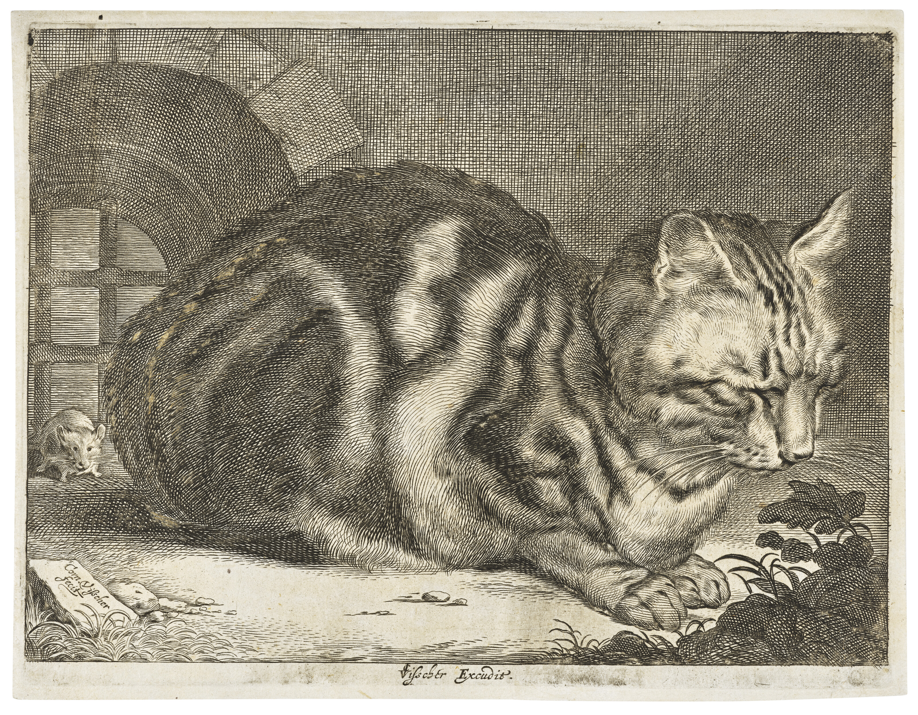 Catalog image of The large Cat