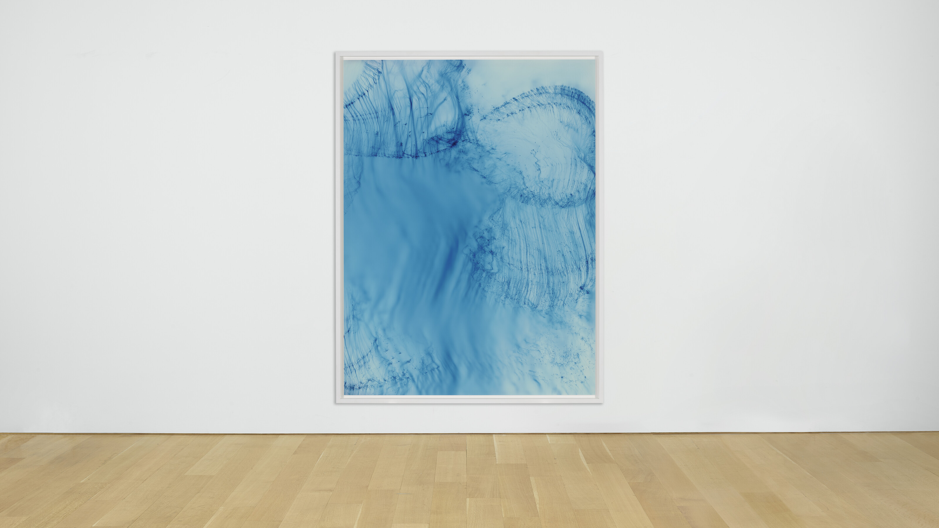 Wolfgang Tillmans Freischwimmer ティルマンス Wolfgang Tillmans : Freischwimmer (ヴォルフガング