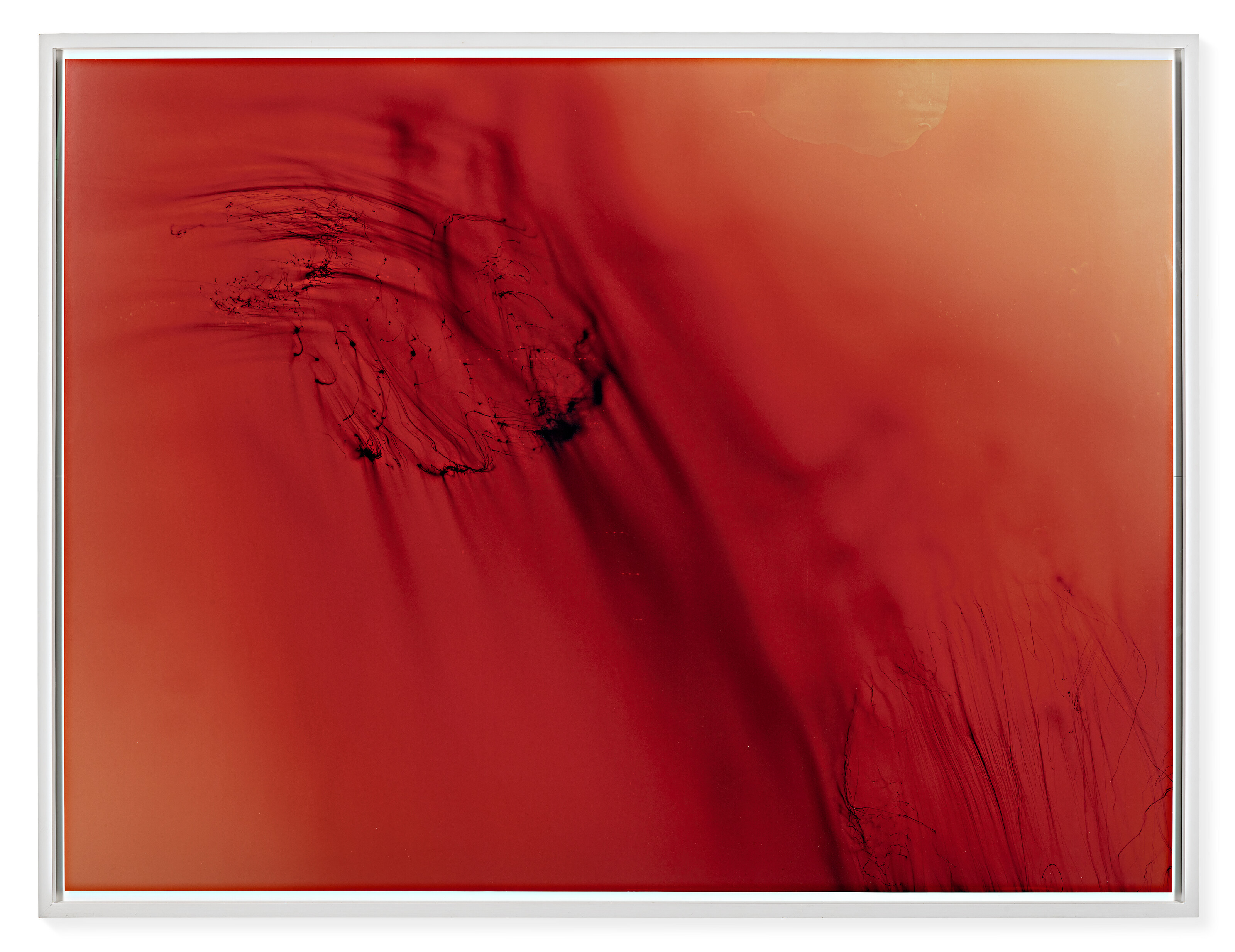 WOLFGANG TILLMANS (B. 1968), Urgency XIX | Christie's