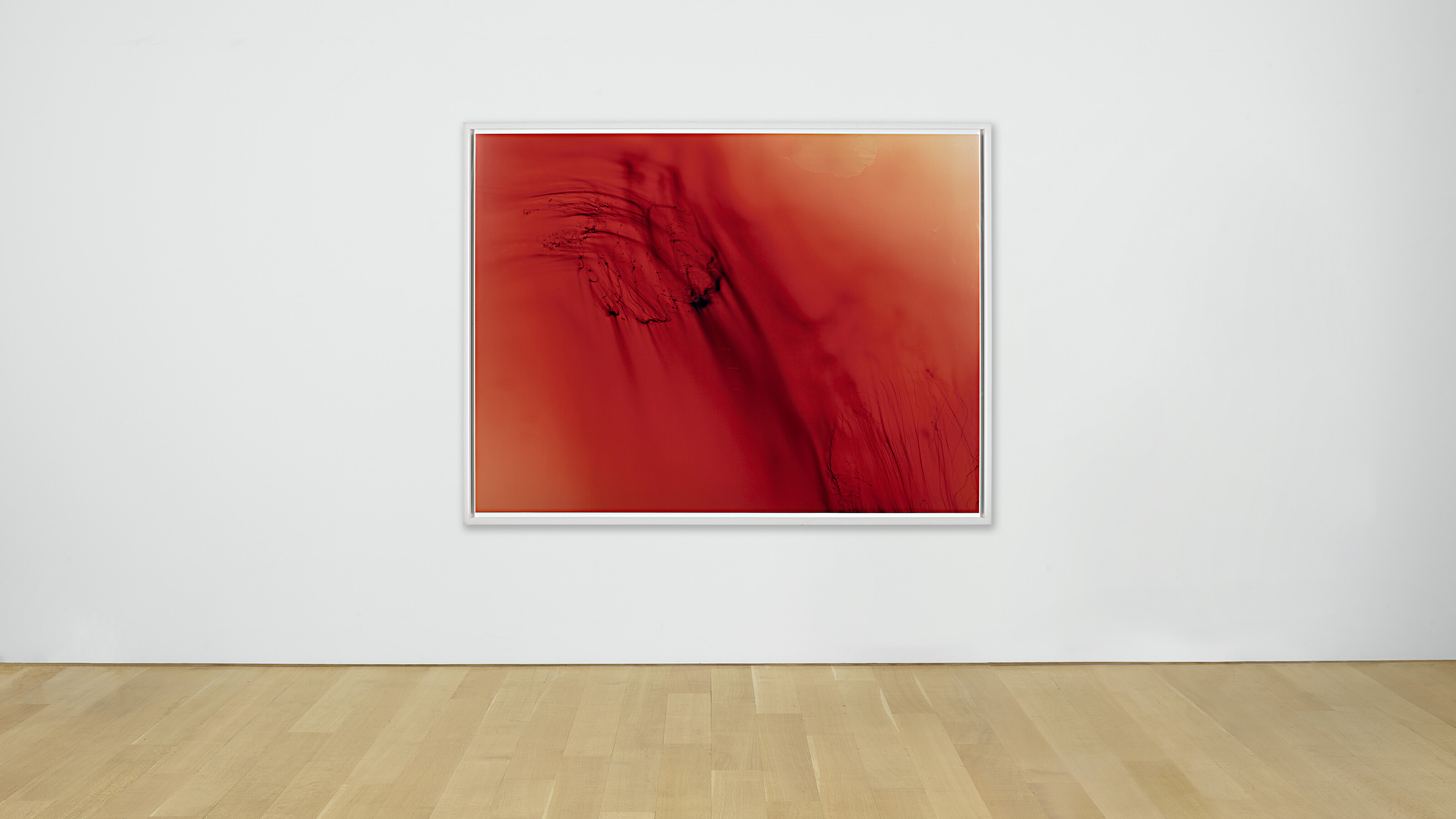 WOLFGANG TILLMANS (B. 1968), Urgency XIX | Christie's