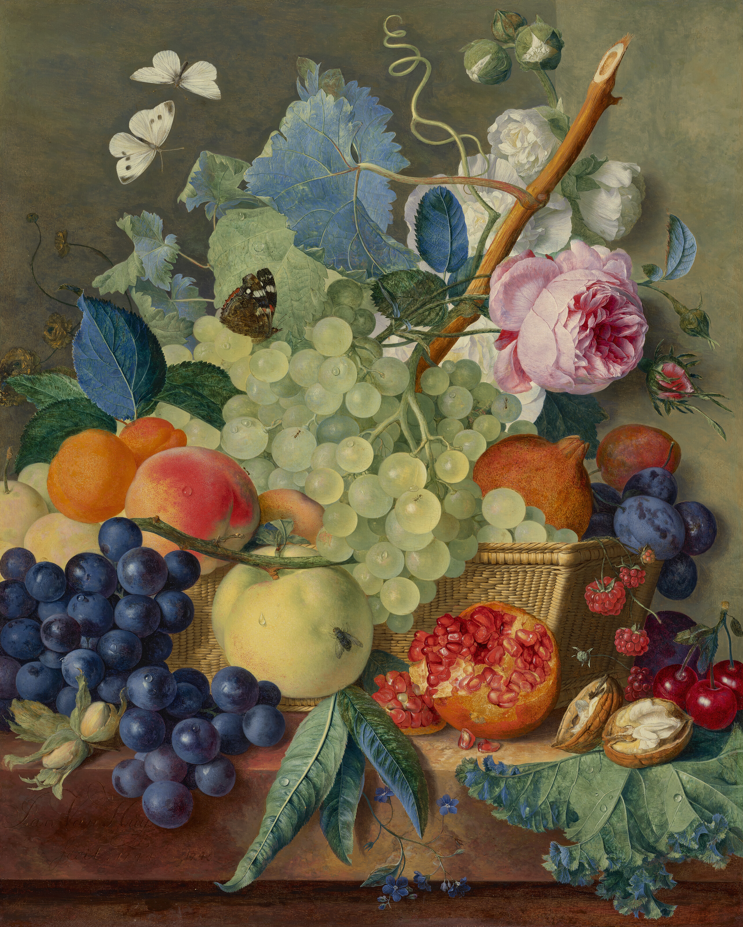 Jan van Huysum, one of a pair: Fruit, roses and peonies in a basket with hazelnuts on a marble ledge, 1744-45, offered in the Old Masters Evening Sale on 1 July 2025 at Christie's in London