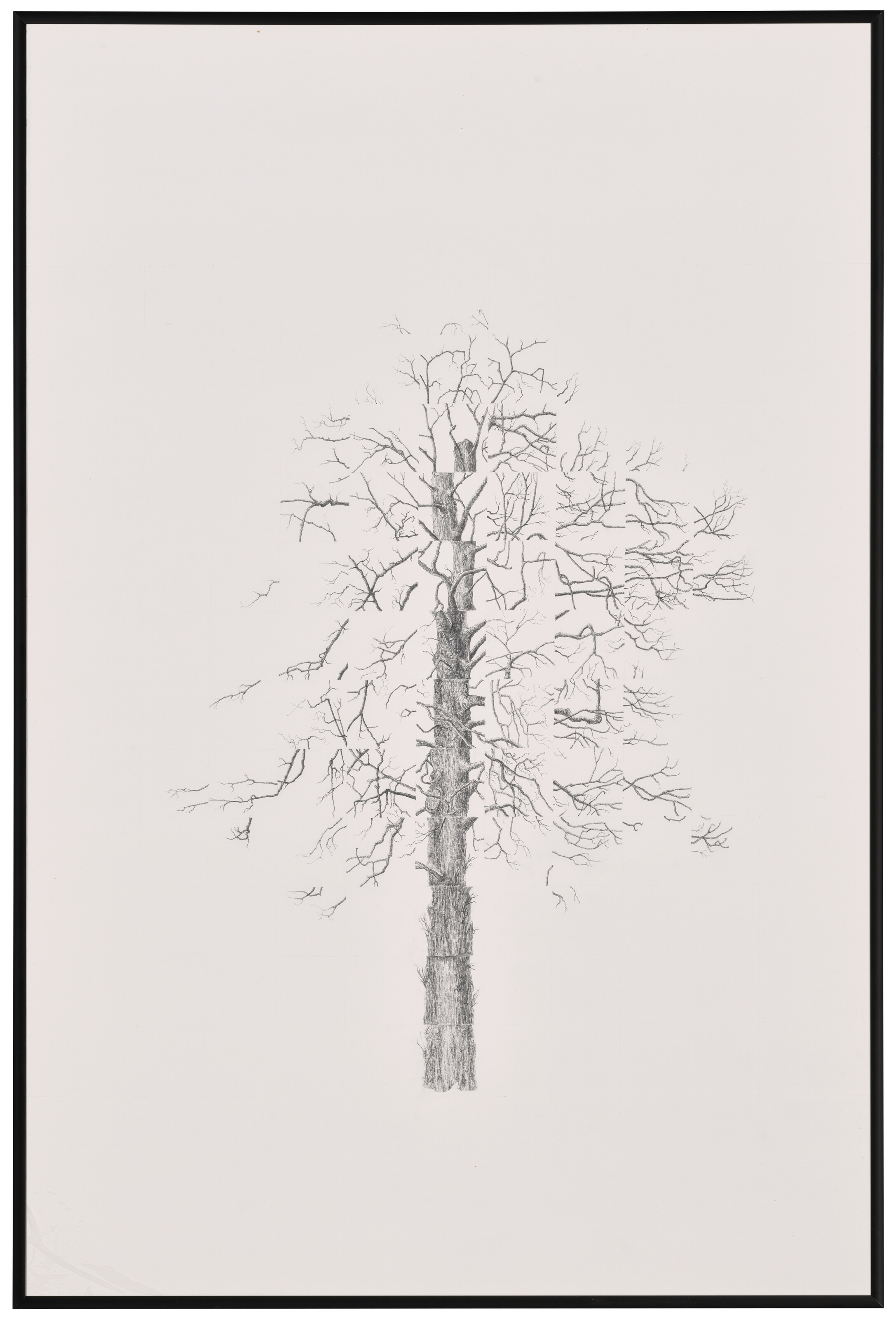 JACK KNIGHT, Blasted Tree #15, 2025 | Christie's